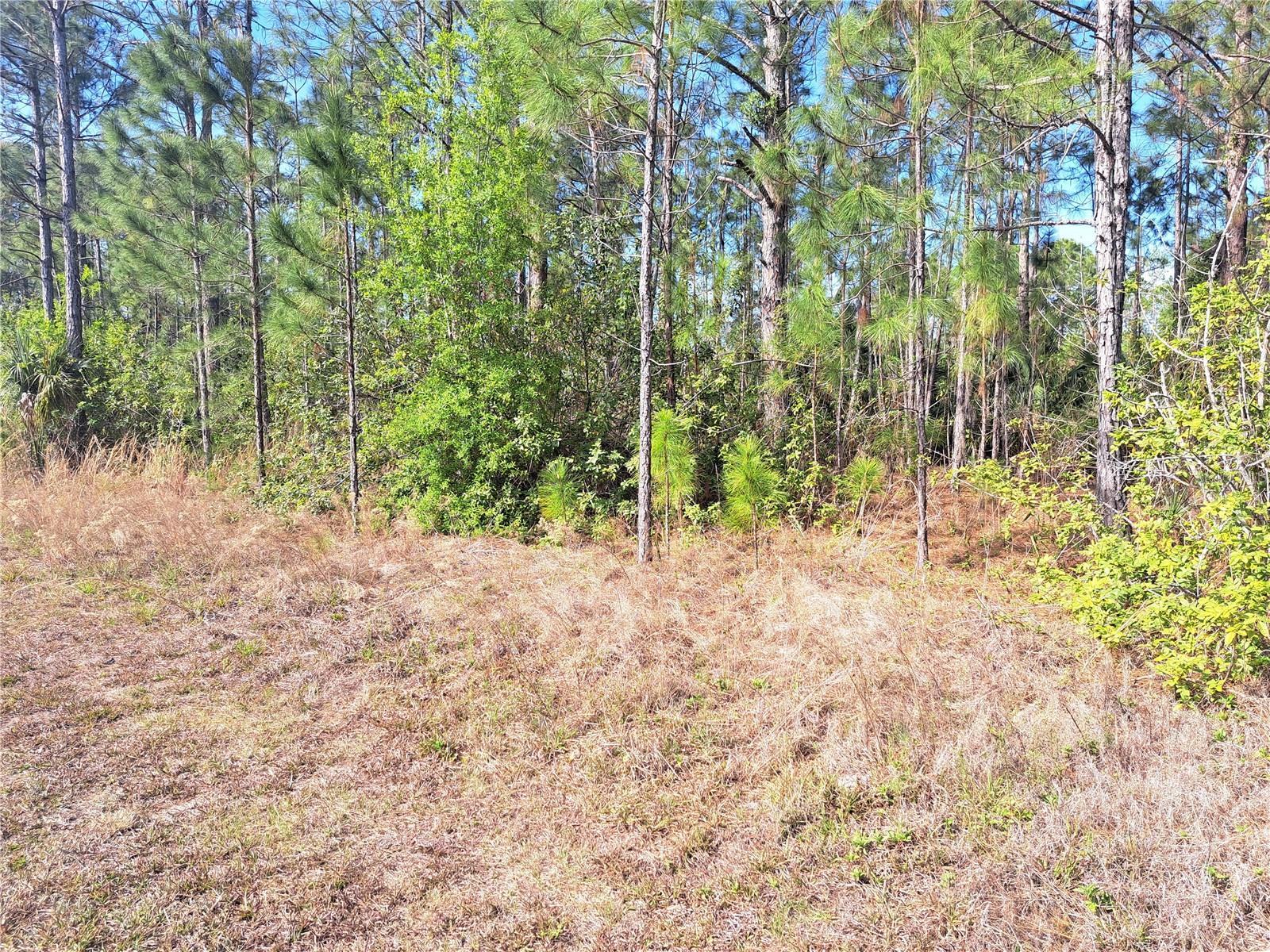 919 EL DORADO DR, INDIAN LAKE ESTATES, FL, 33855