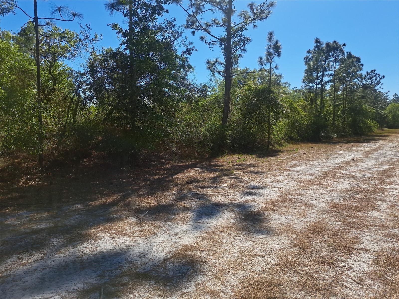 919 EL DORADO DR, INDIAN LAKE ESTATES, FL, 33855