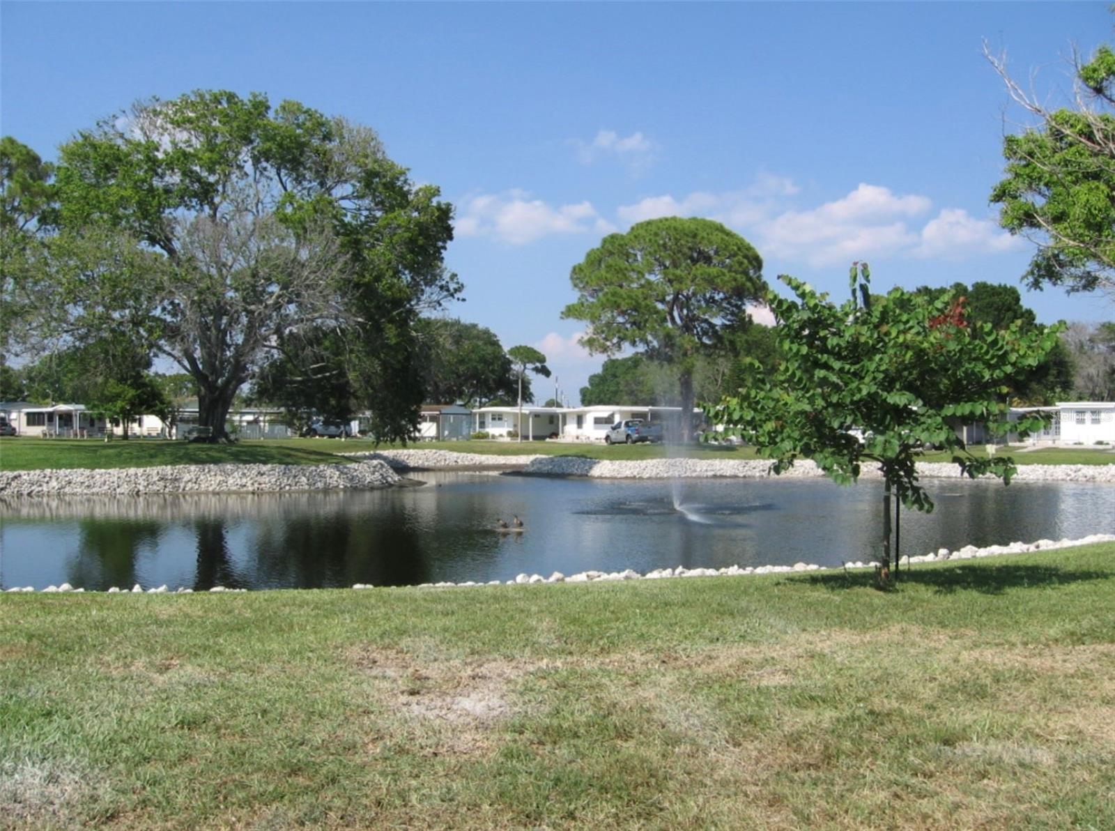 7880 54TH AVE N #75, ST PETERSBURG, FL, 33709