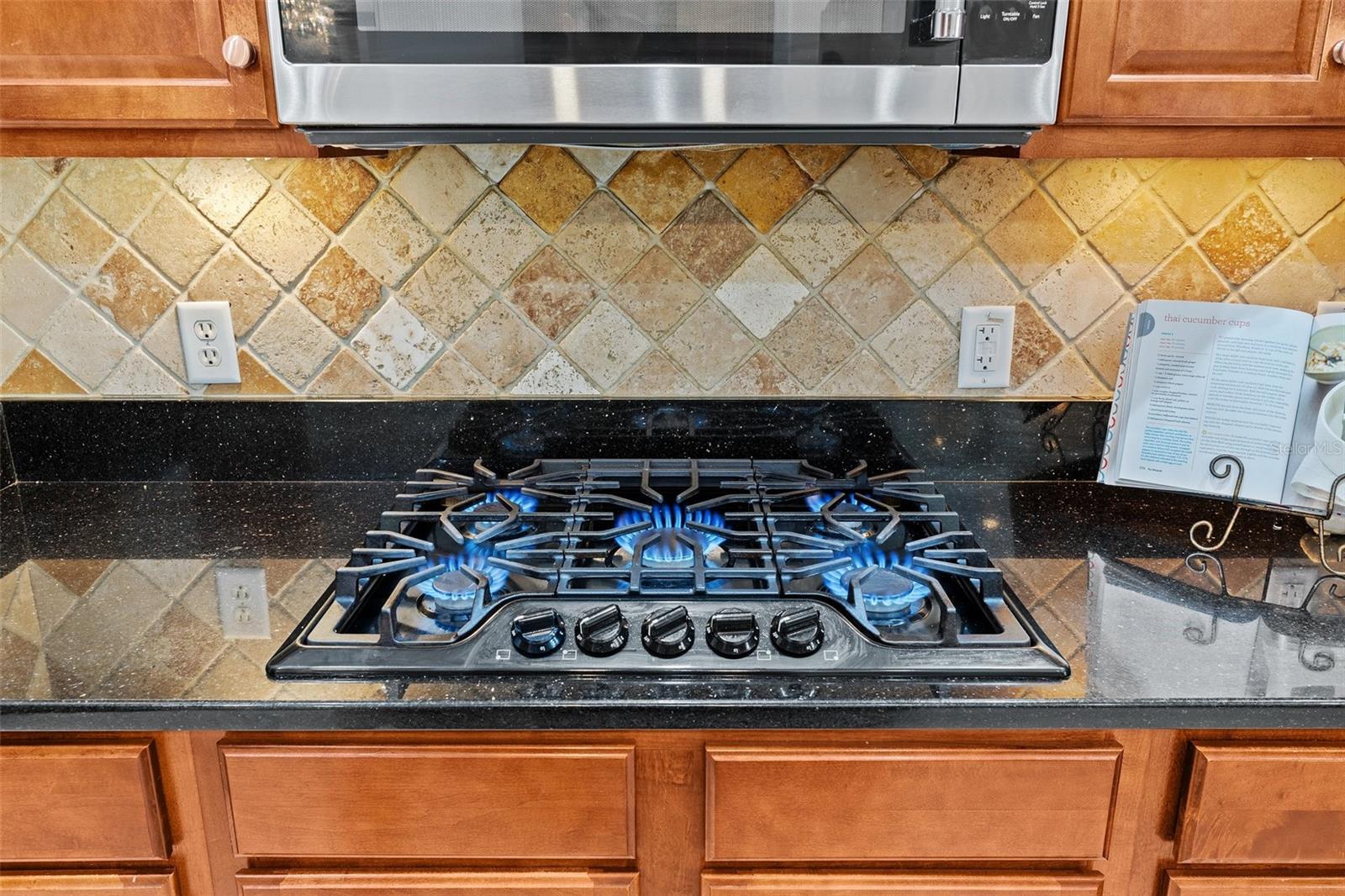 21654 DRAYCOTT WAY, LAND O LAKES, FL, 34637