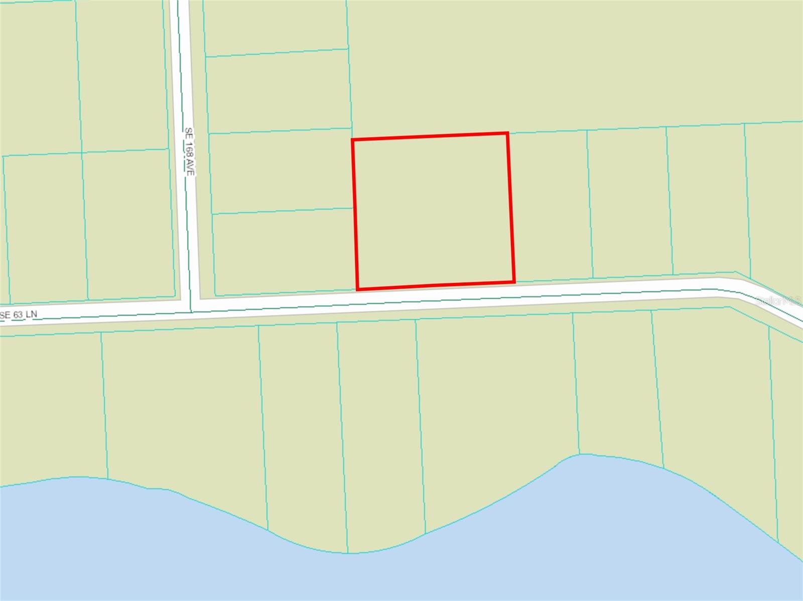 SE 63 LN, OCKLAWAHA, FL, 32179