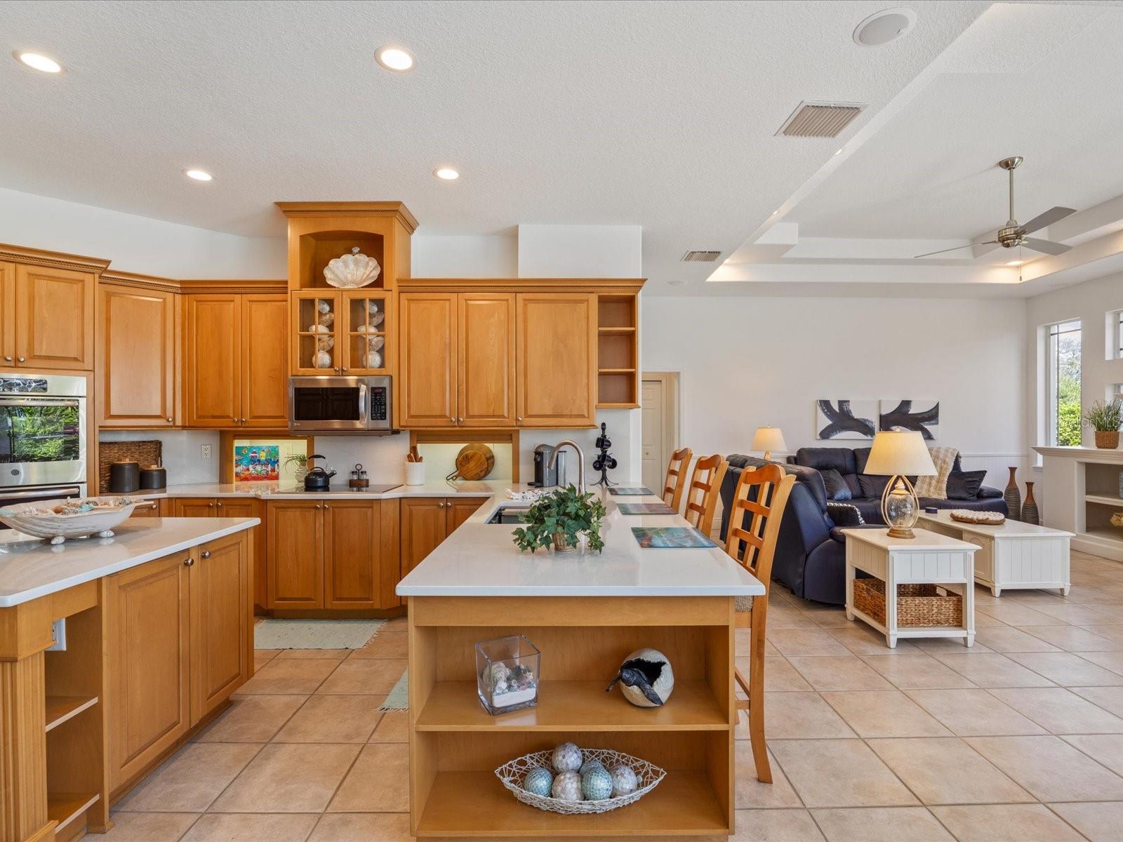 223 HIGHLAND WOODS DR, SAFETY HARBOR, FL, 34695