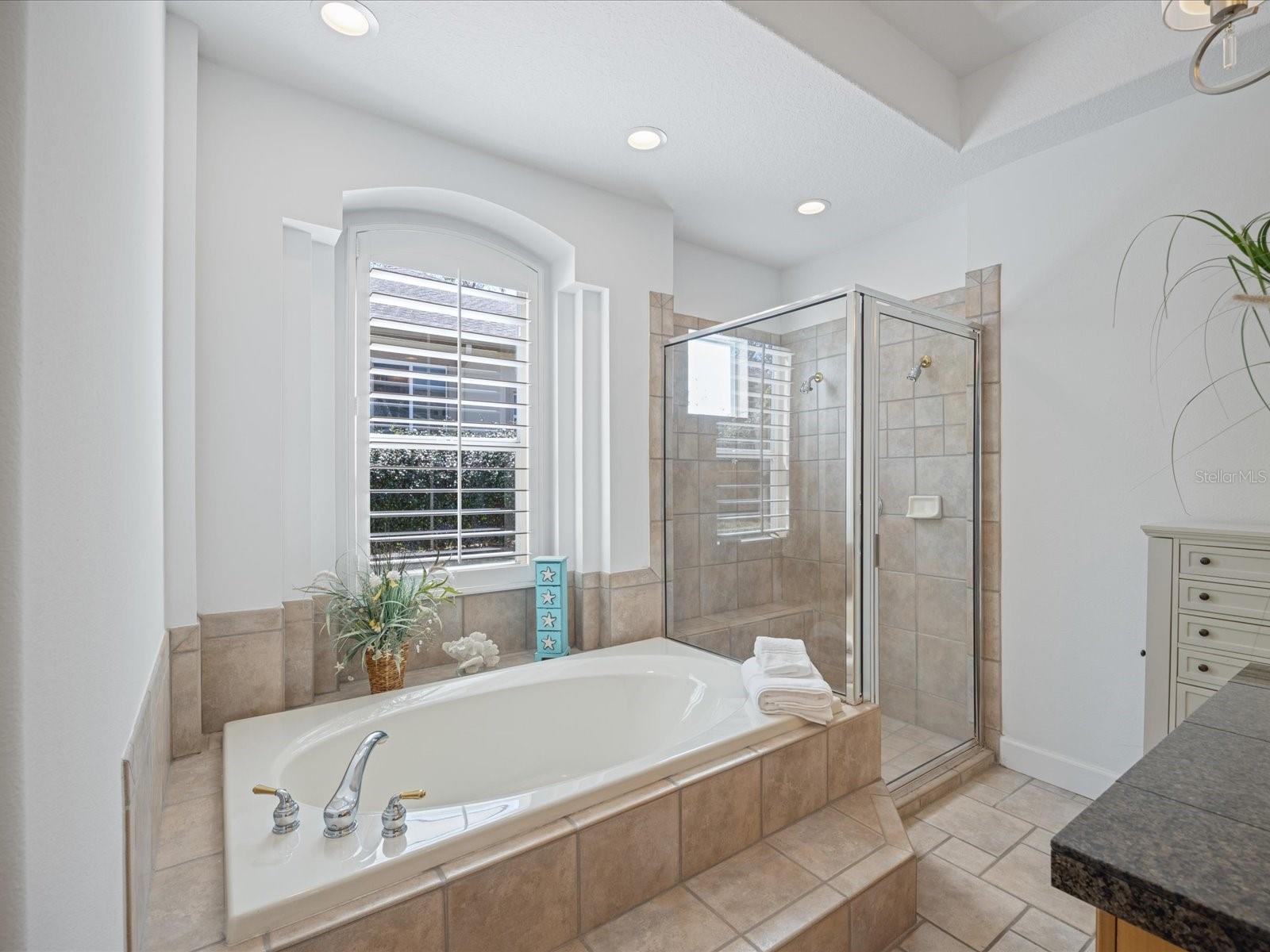 223 HIGHLAND WOODS DR, SAFETY HARBOR, FL, 34695