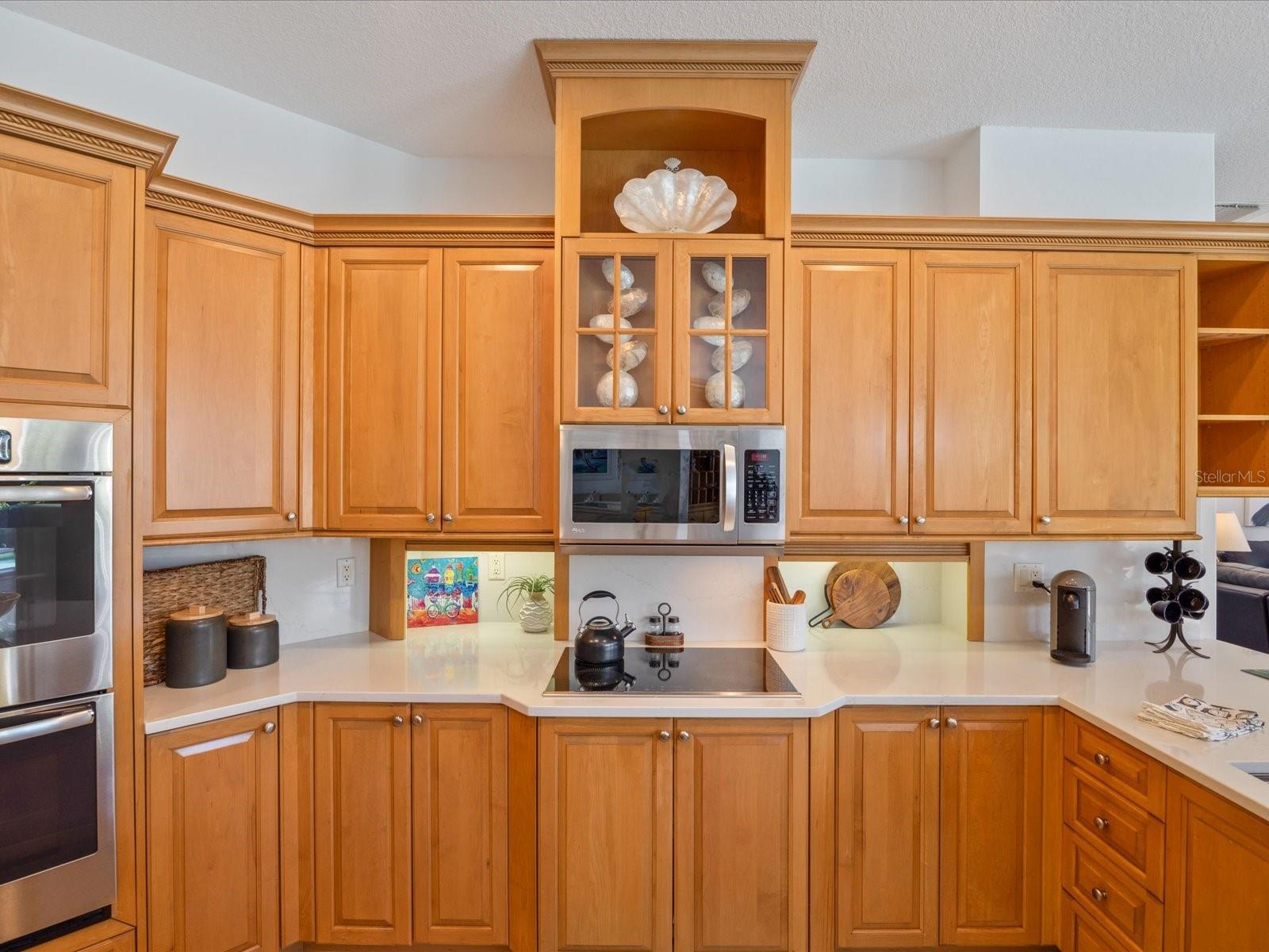 223 HIGHLAND WOODS DR, SAFETY HARBOR, FL, 34695