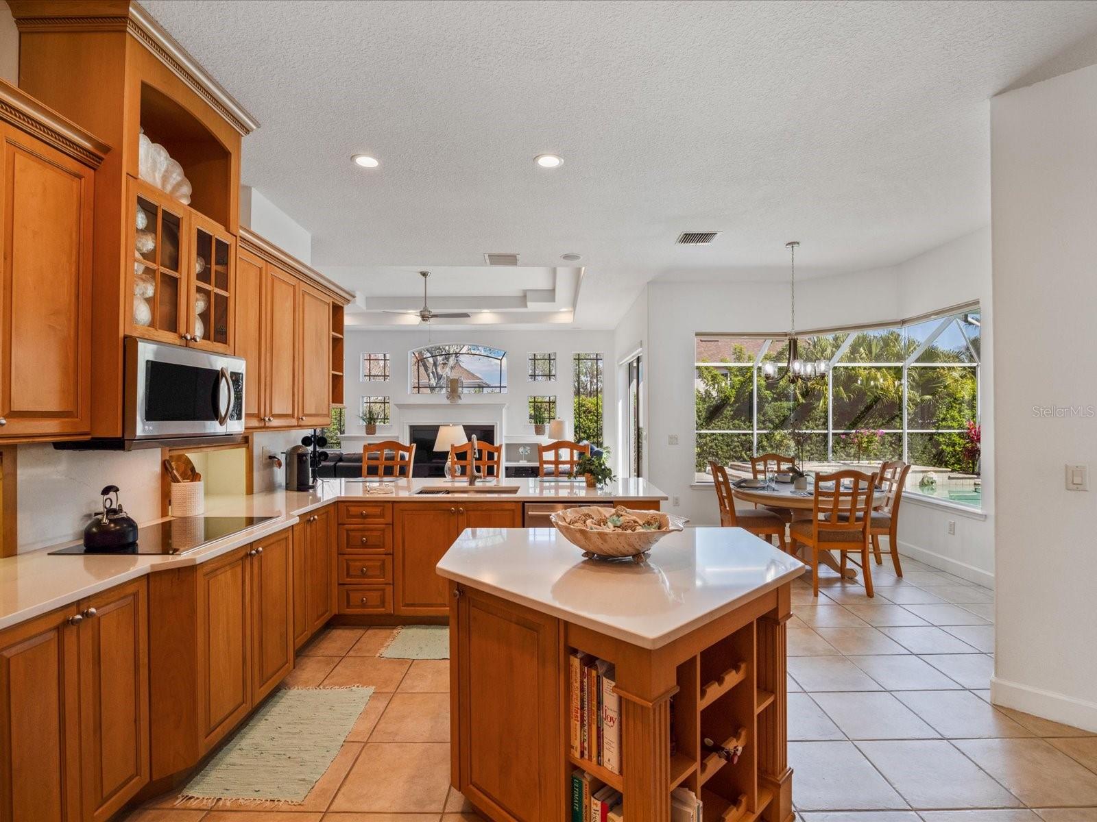 223 HIGHLAND WOODS DR, SAFETY HARBOR, FL, 34695