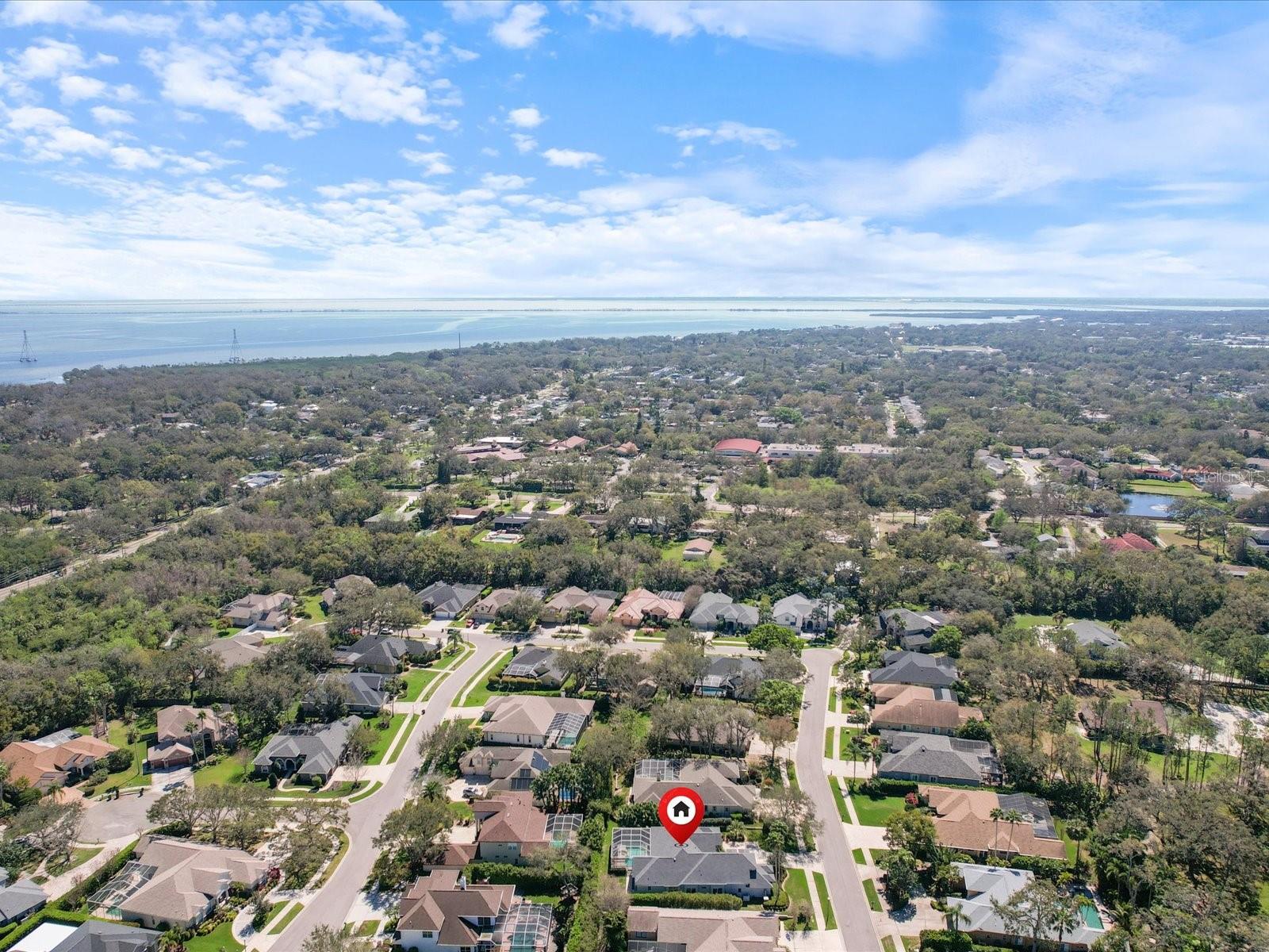 223 HIGHLAND WOODS DR, SAFETY HARBOR, FL, 34695