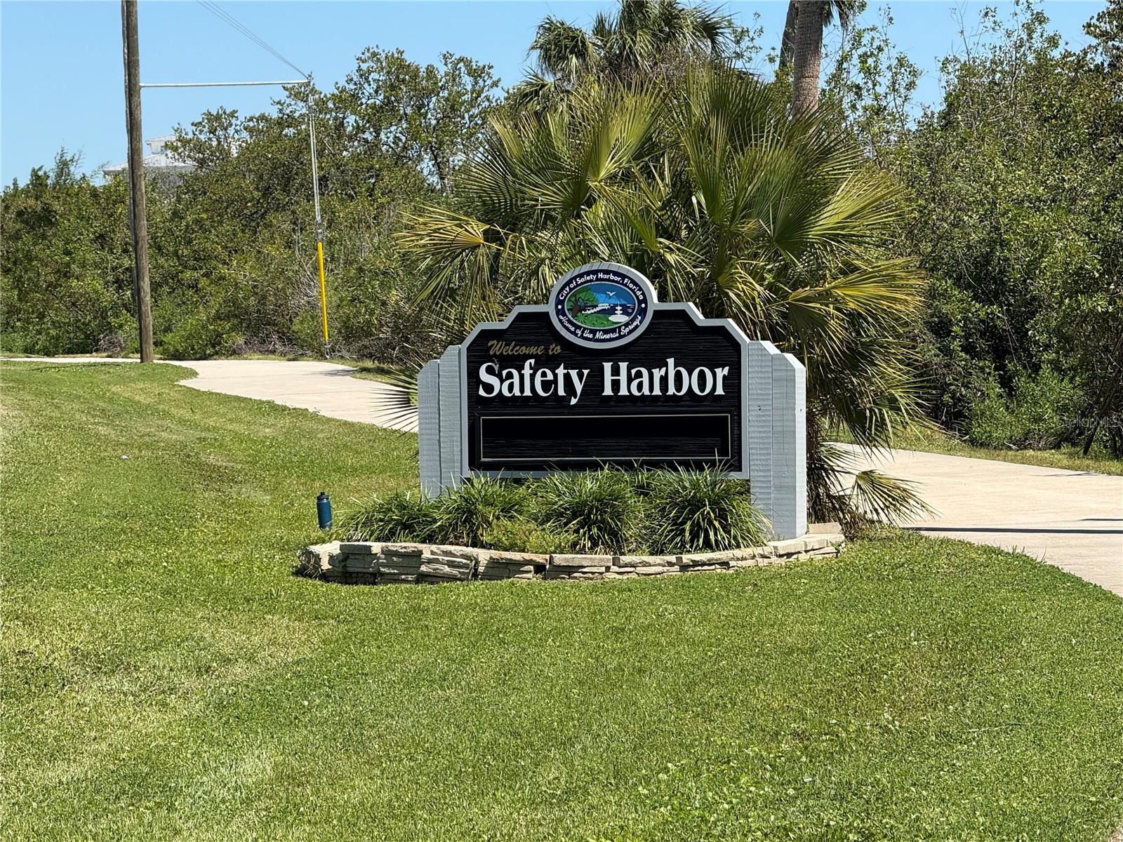 223 HIGHLAND WOODS DR, SAFETY HARBOR, FL, 34695
