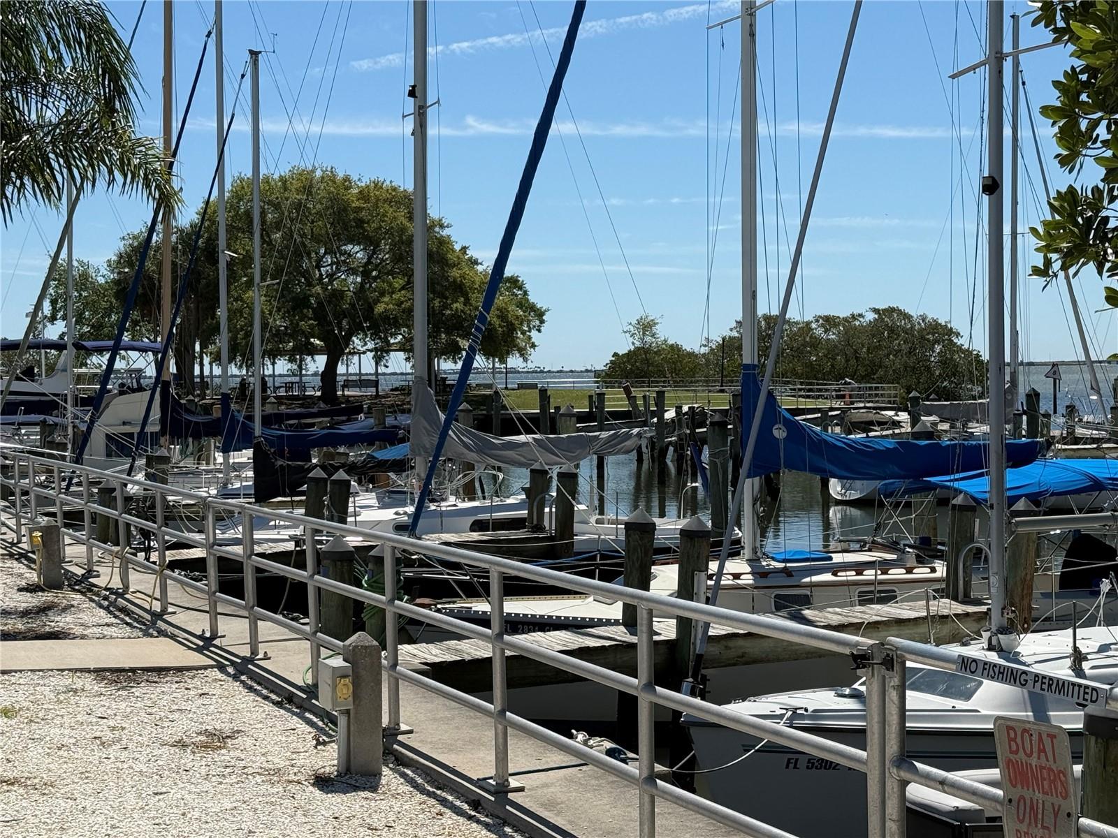 223 HIGHLAND WOODS DR, SAFETY HARBOR, FL, 34695