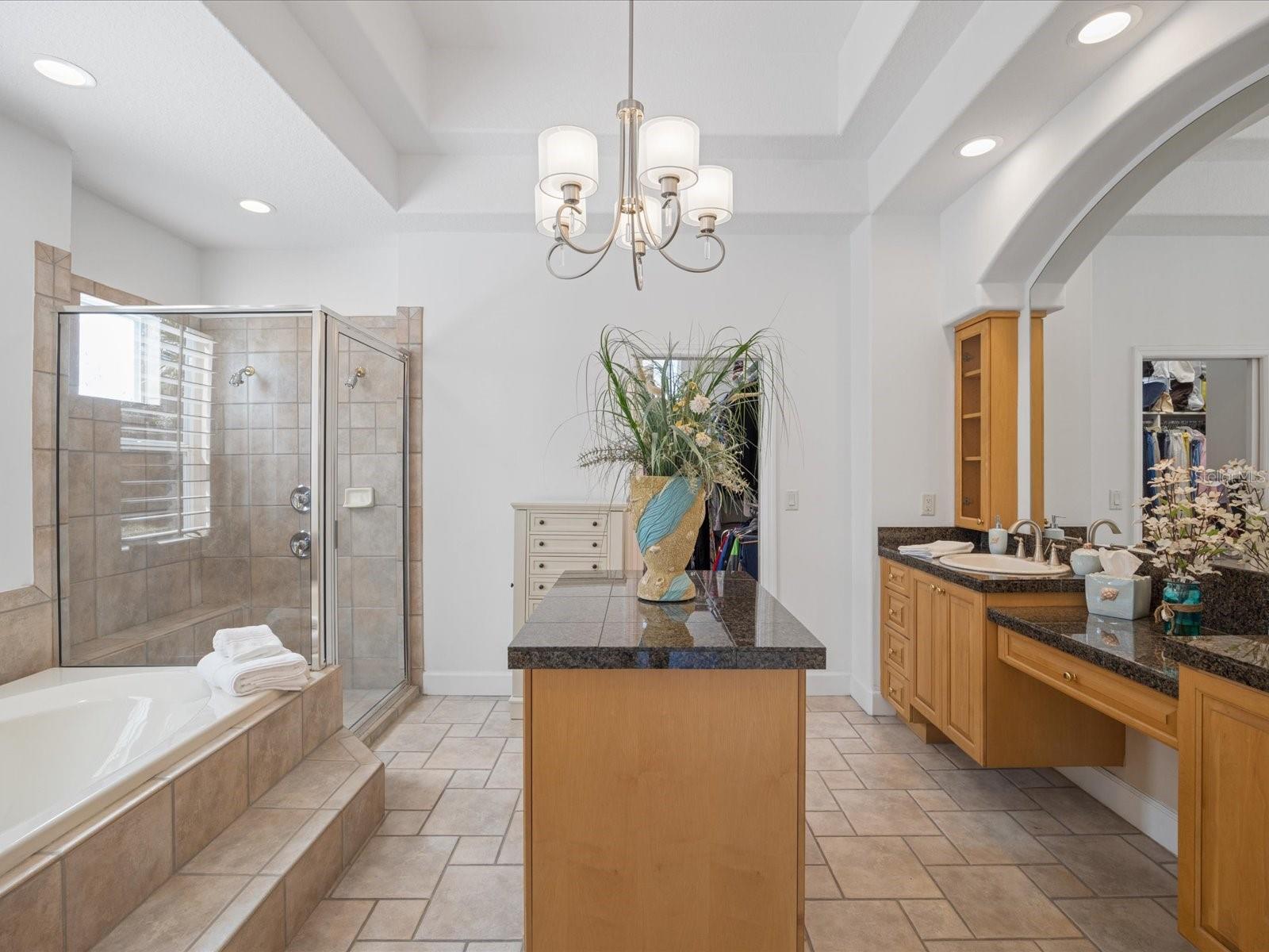 223 HIGHLAND WOODS DR, SAFETY HARBOR, FL, 34695