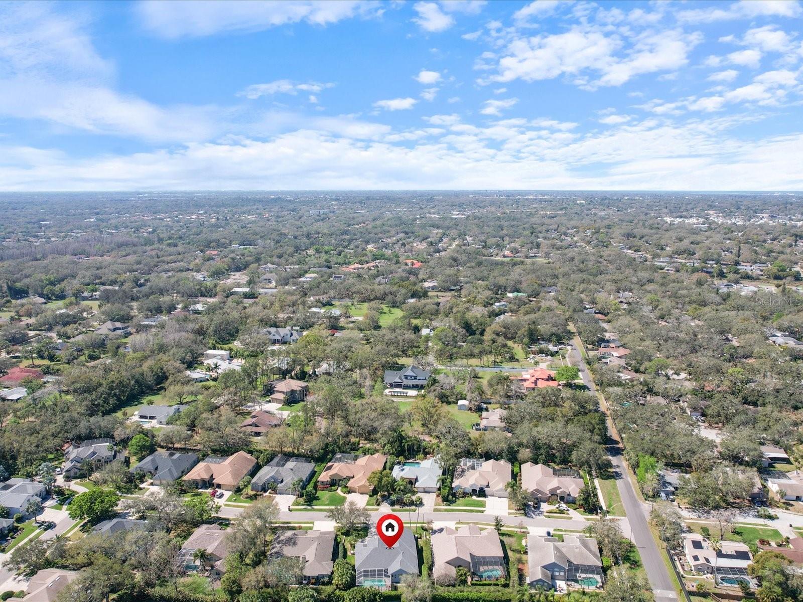 223 HIGHLAND WOODS DR, SAFETY HARBOR, FL, 34695