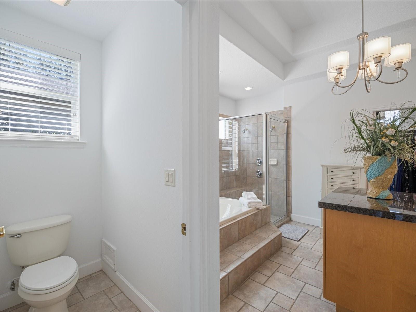 223 HIGHLAND WOODS DR, SAFETY HARBOR, FL, 34695