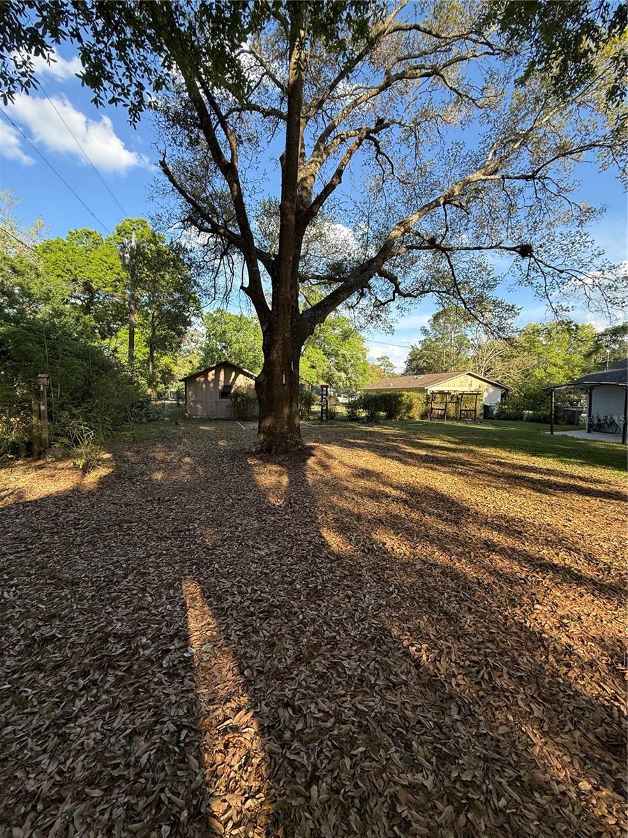 3333 SE 12TH ST, OCALA, FL, 34471