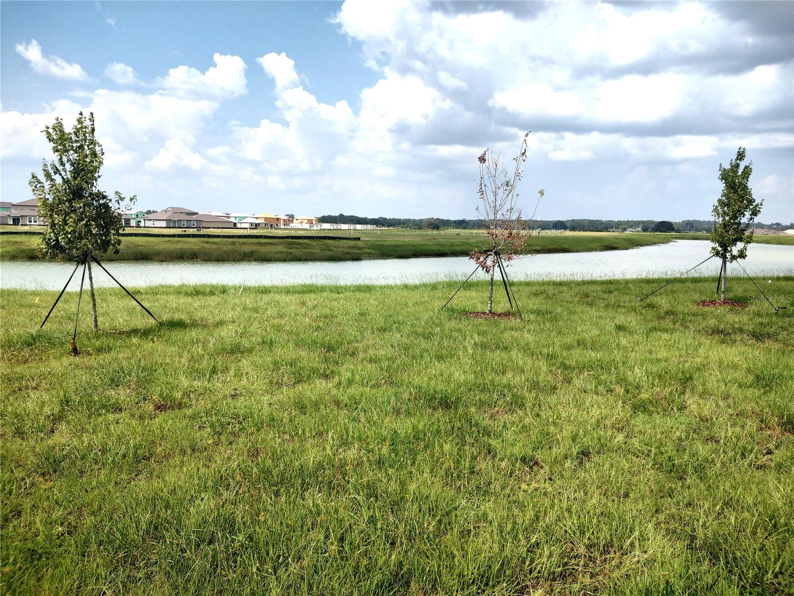 11137 RADIANT SHORE LOOP, SAN ANTONIO, FL, 33576