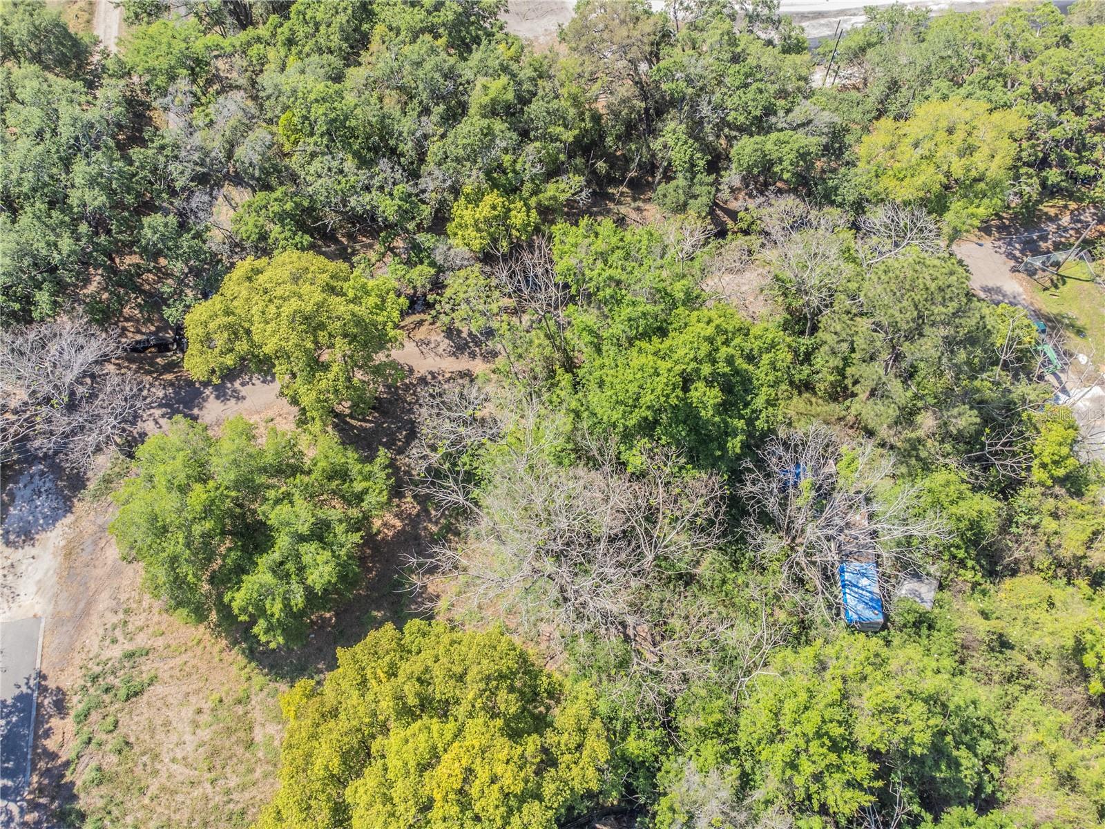 3RD AVE, ORLANDO, FL, 32824