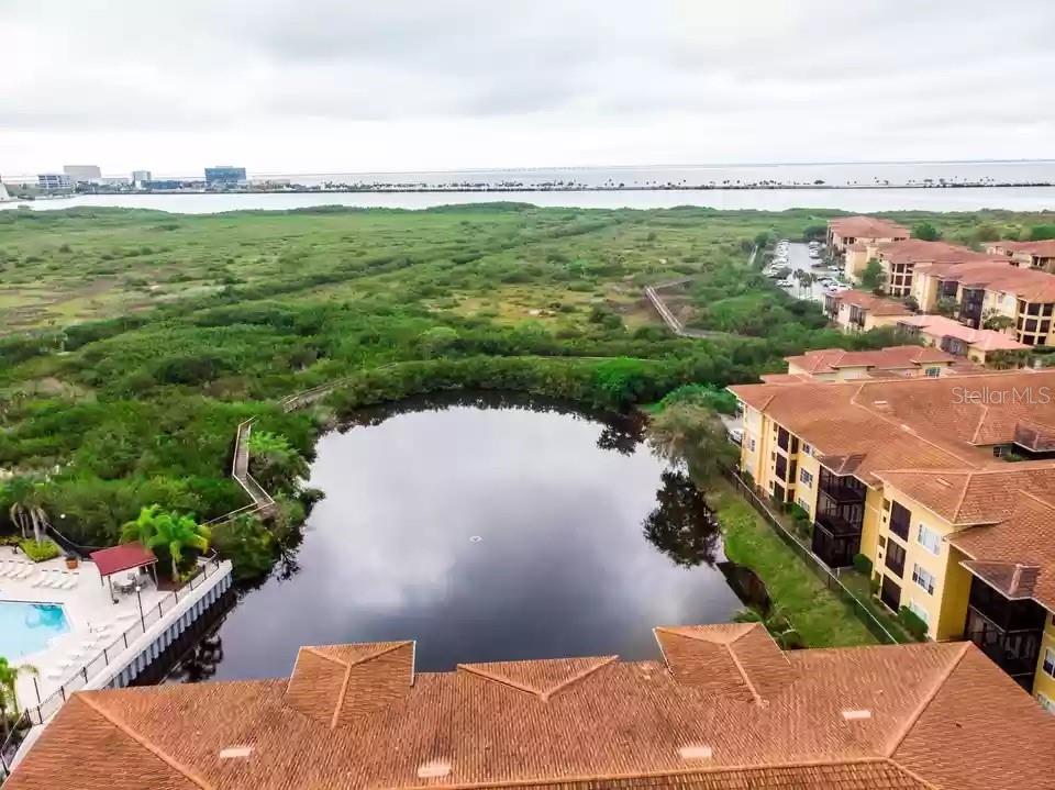 4323 BAYSIDE VILLAGE DR #229, TAMPA, FL, 33615