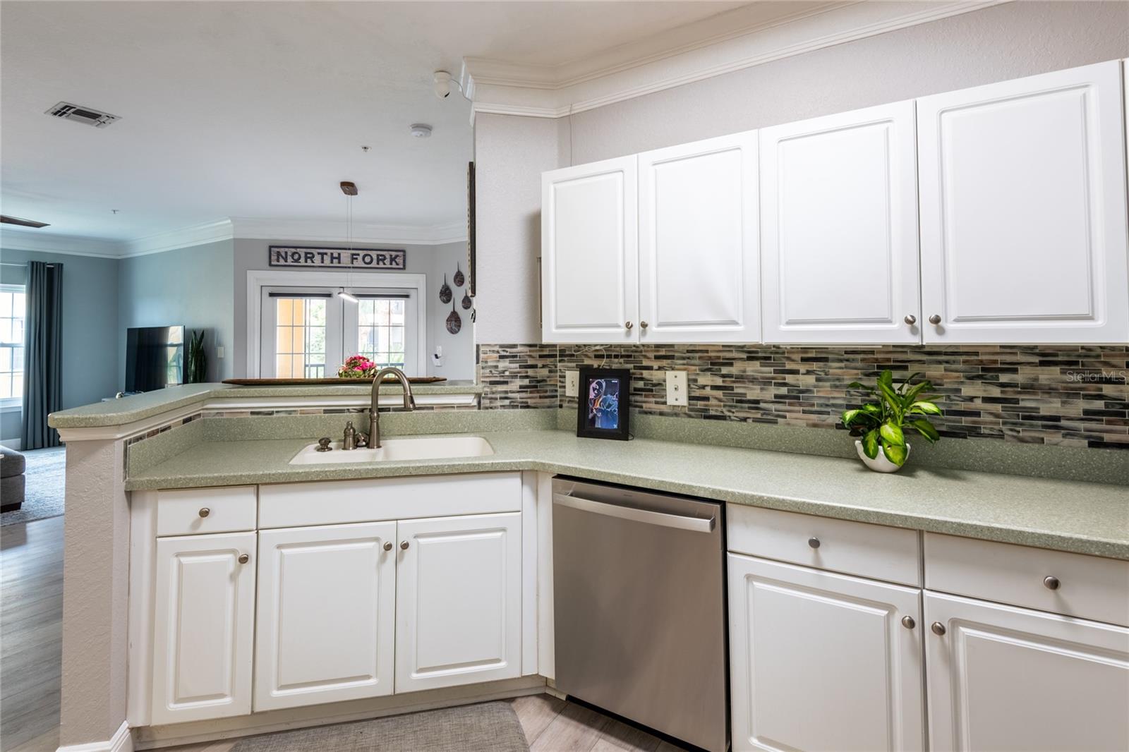 4323 BAYSIDE VILLAGE DR #229, TAMPA, FL, 33615