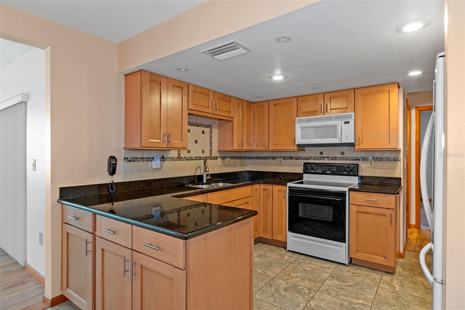 10219 HORIZON DR, SPRING HILL, FL, 34608
