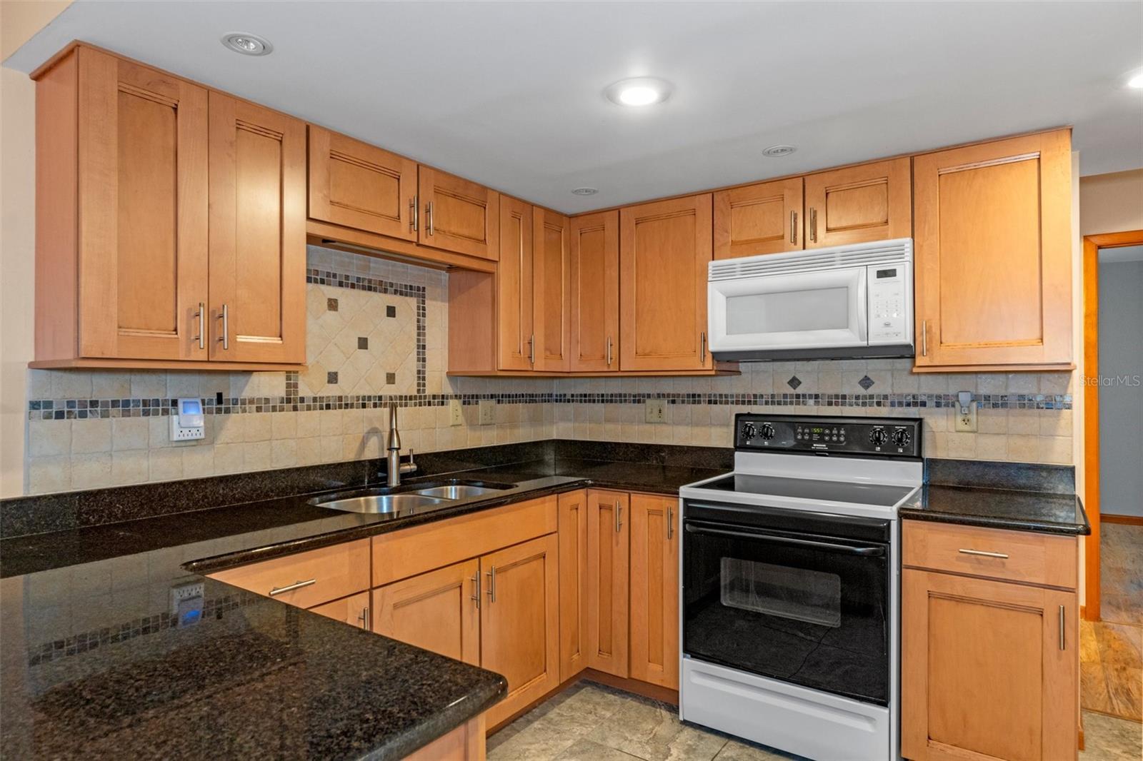 10219 HORIZON DR, SPRING HILL, FL, 34608