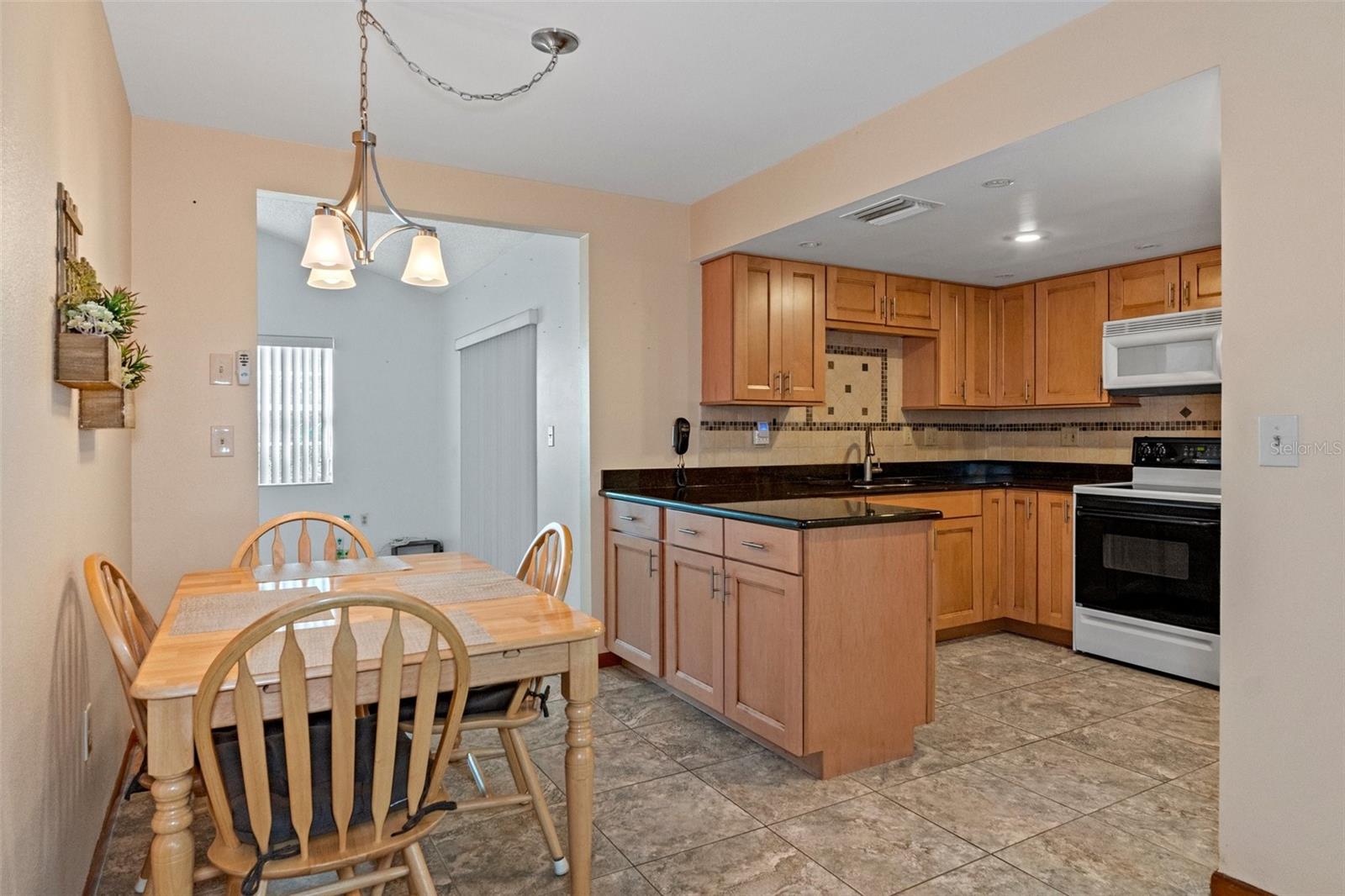 10219 HORIZON DR, SPRING HILL, FL, 34608