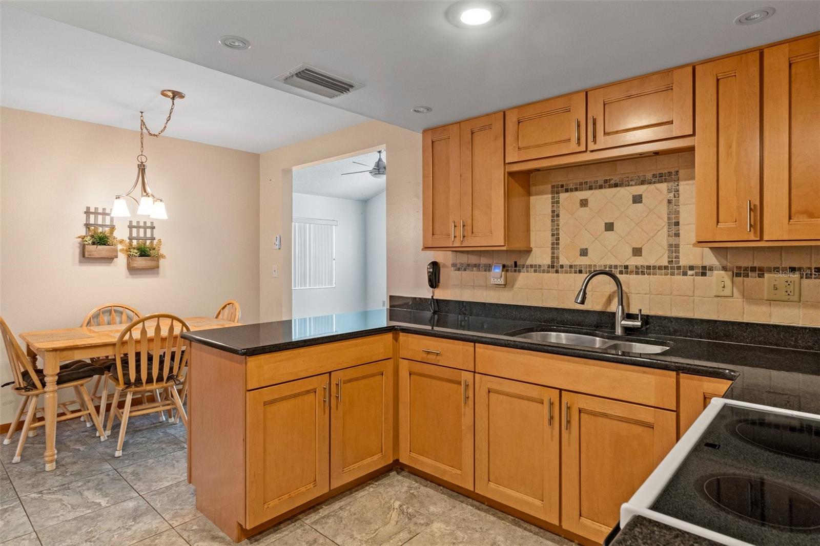 10219 HORIZON DR, SPRING HILL, FL, 34608