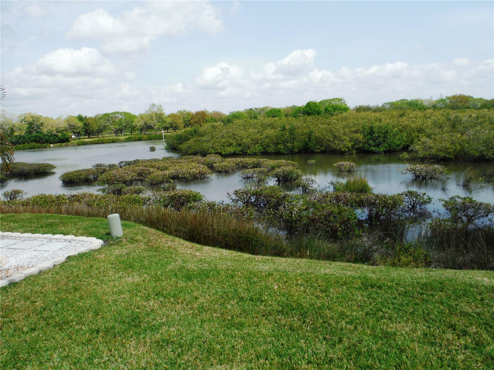 161 CLUBVIEW DR #123, SAFETY HARBOR, FL, 34695
