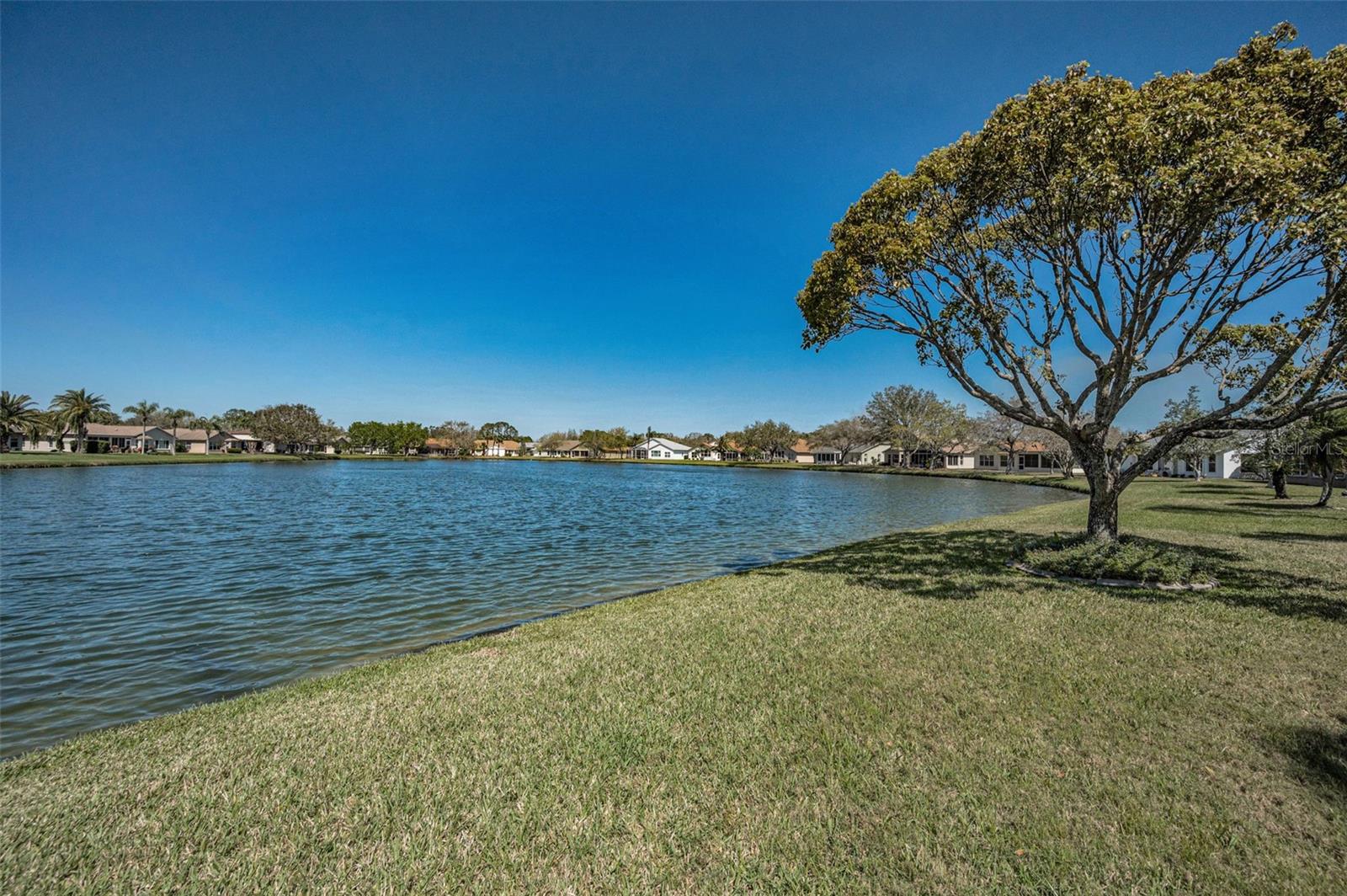 1126 ASHBOURNE CIR, TRINITY, FL, 34655