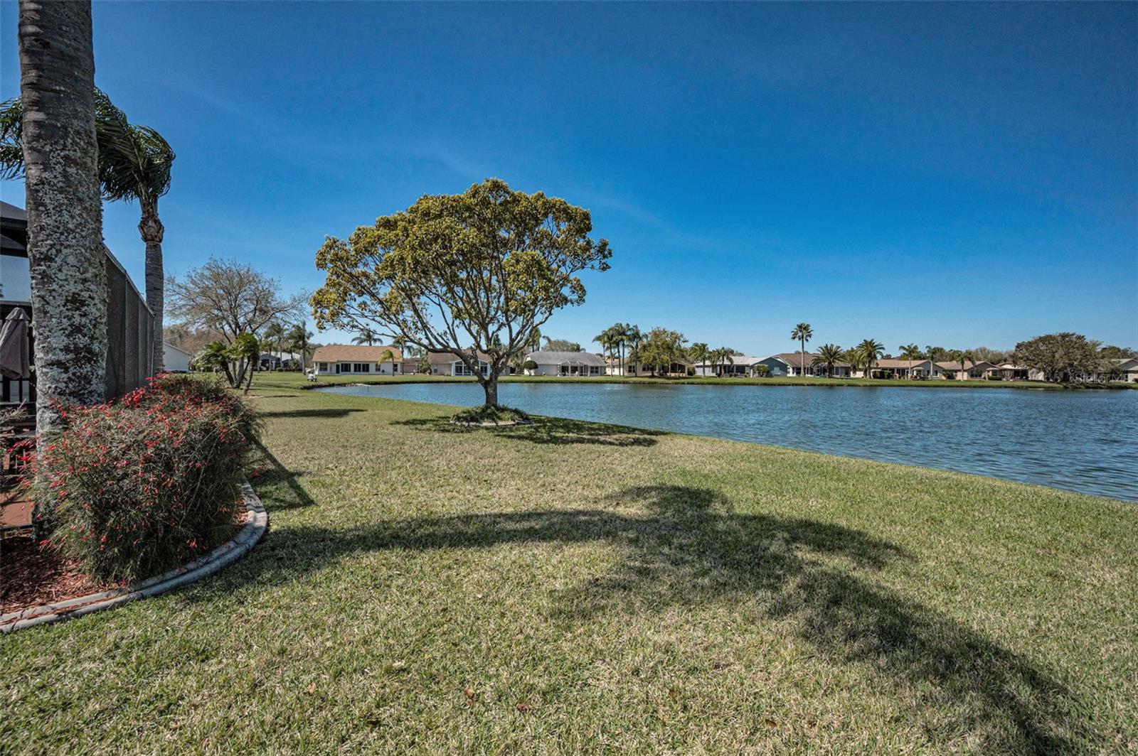 1126 ASHBOURNE CIR, TRINITY, FL, 34655