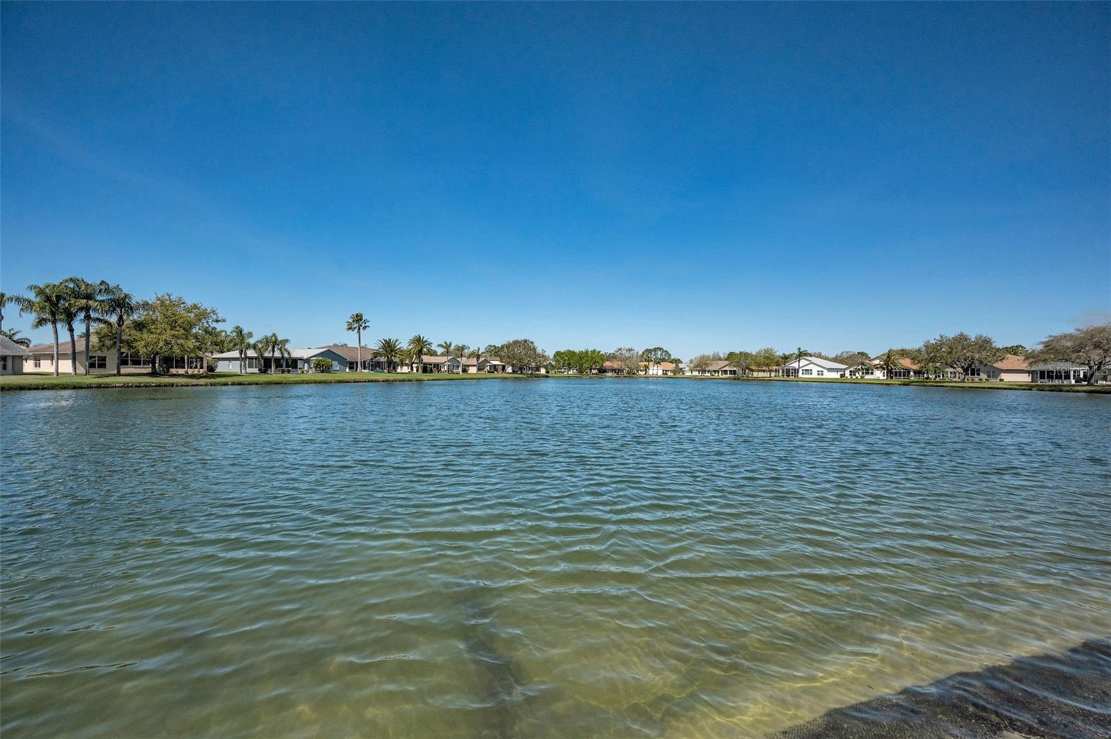 1126 ASHBOURNE CIR, TRINITY, FL, 34655