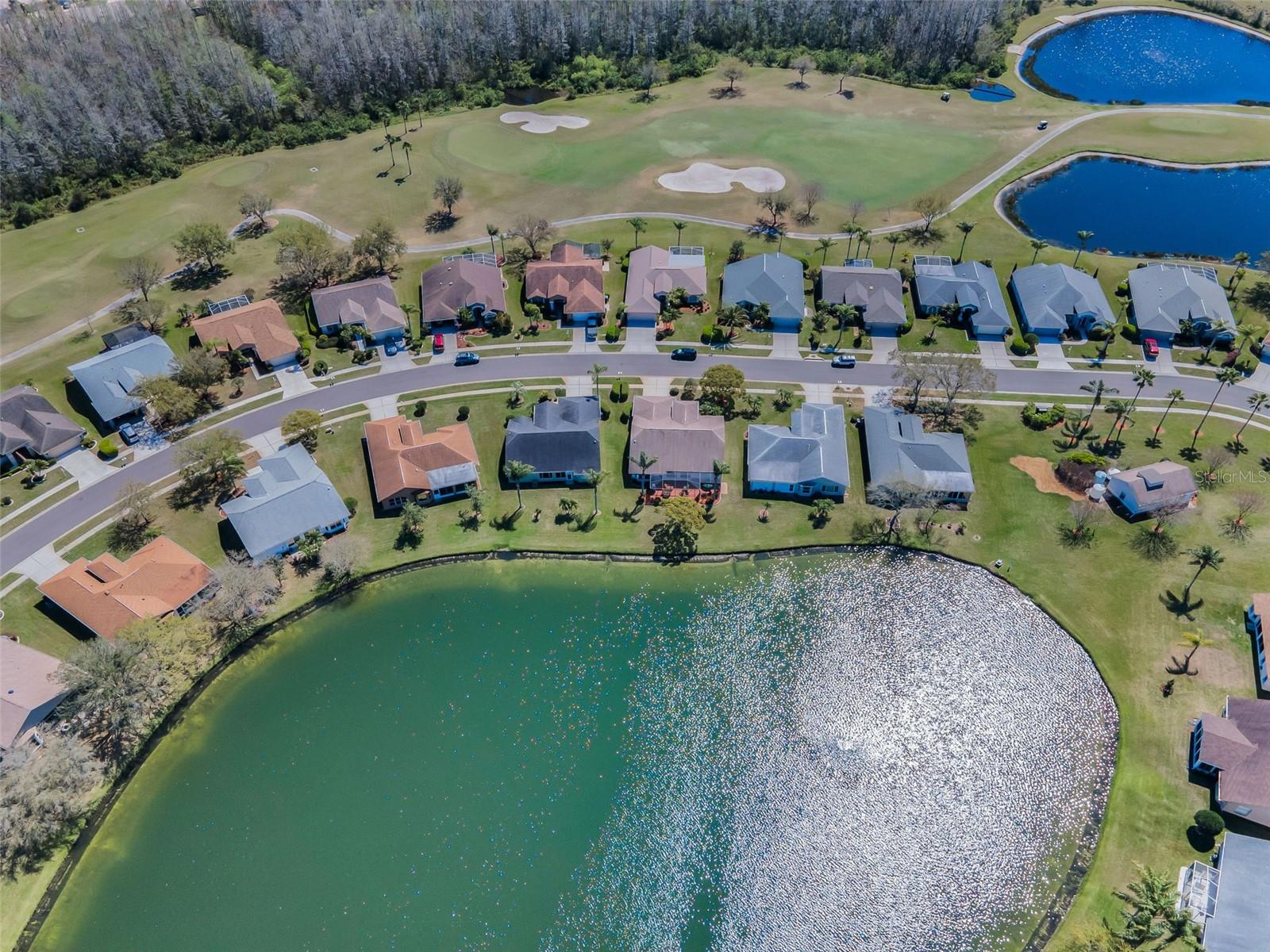 1126 ASHBOURNE CIR, TRINITY, FL, 34655