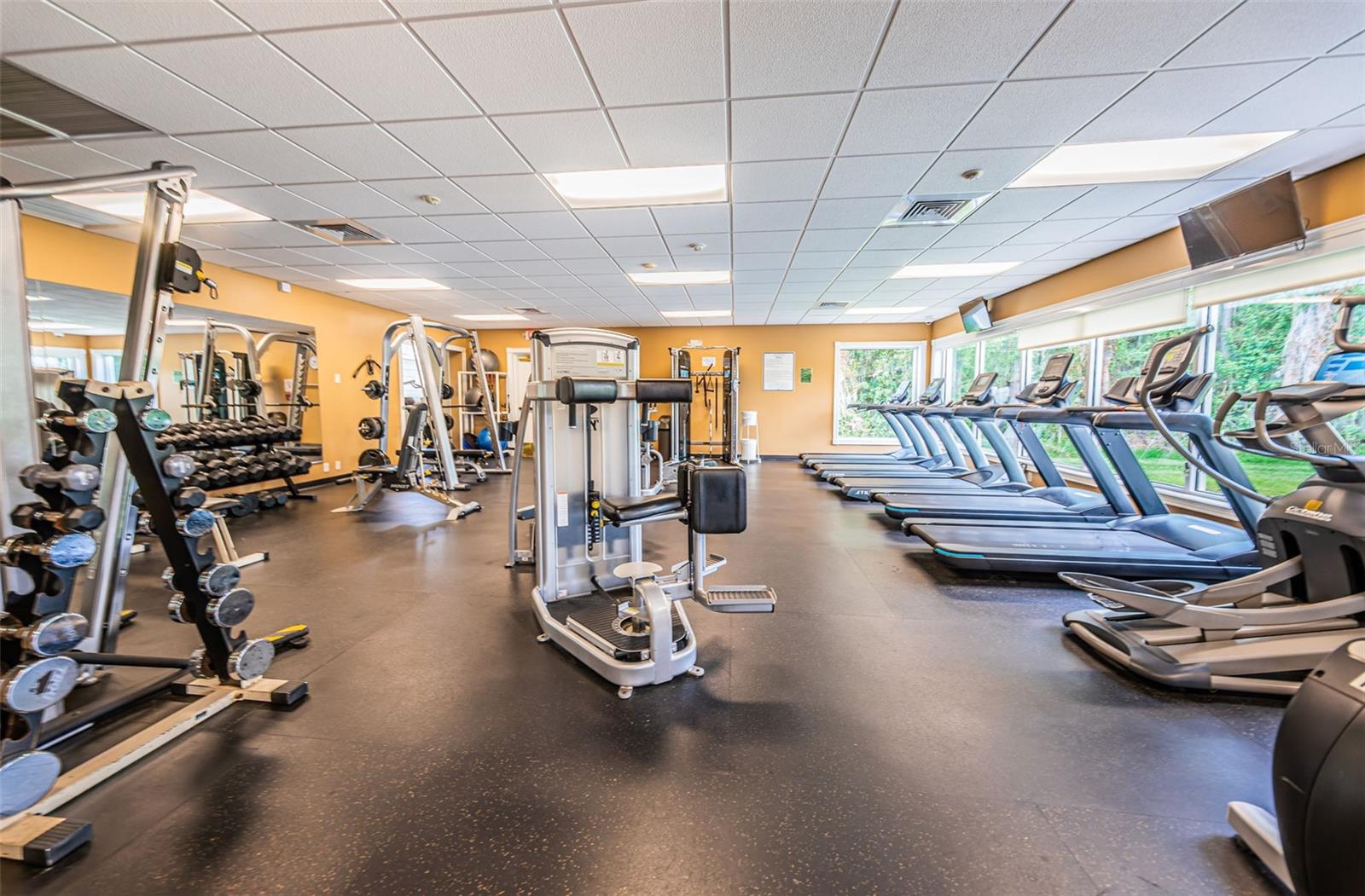 1126 ASHBOURNE CIR, TRINITY, FL, 34655