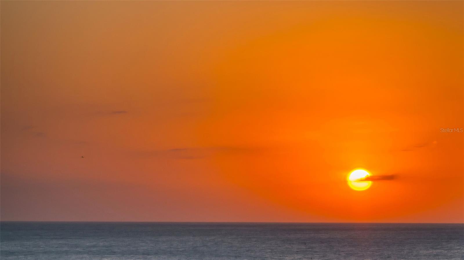 1104 BENJAMIN FRANKLIN DR #519, SARASOTA, FL, 34236