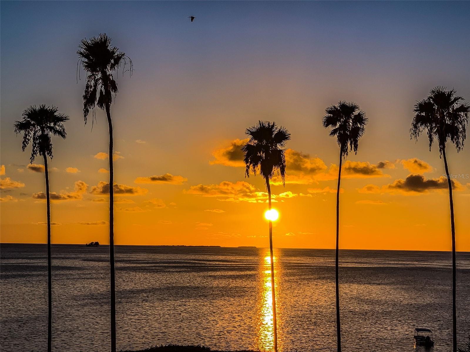 216 GRACE ST, CRYSTAL BEACH, FL, 34681