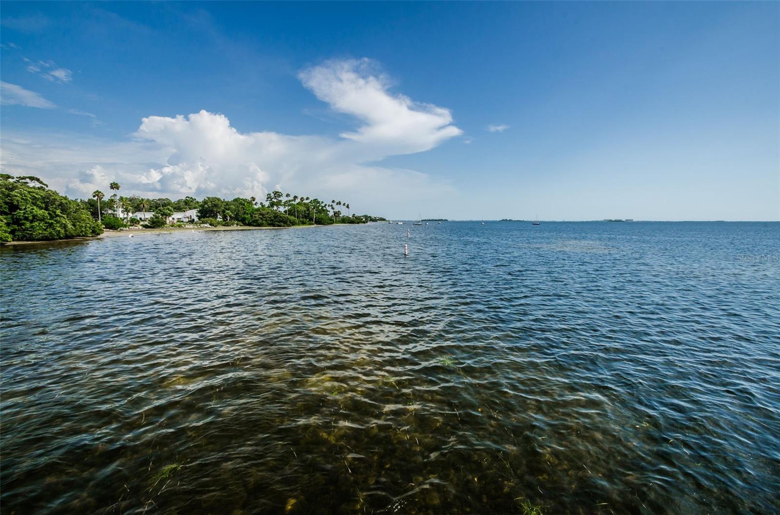 216 GRACE ST, CRYSTAL BEACH, FL, 34681