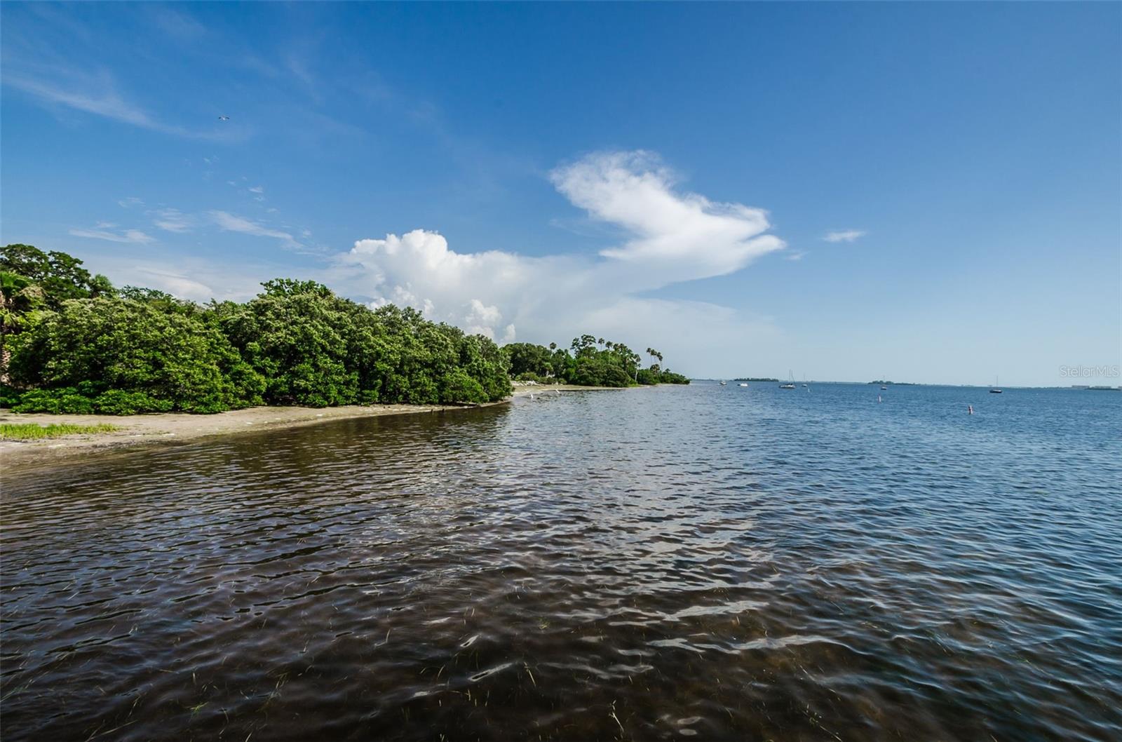 216 GRACE ST, CRYSTAL BEACH, FL, 34681