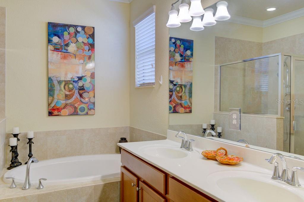 20650 ROMAGNA PL, VENICE, FL, 34293