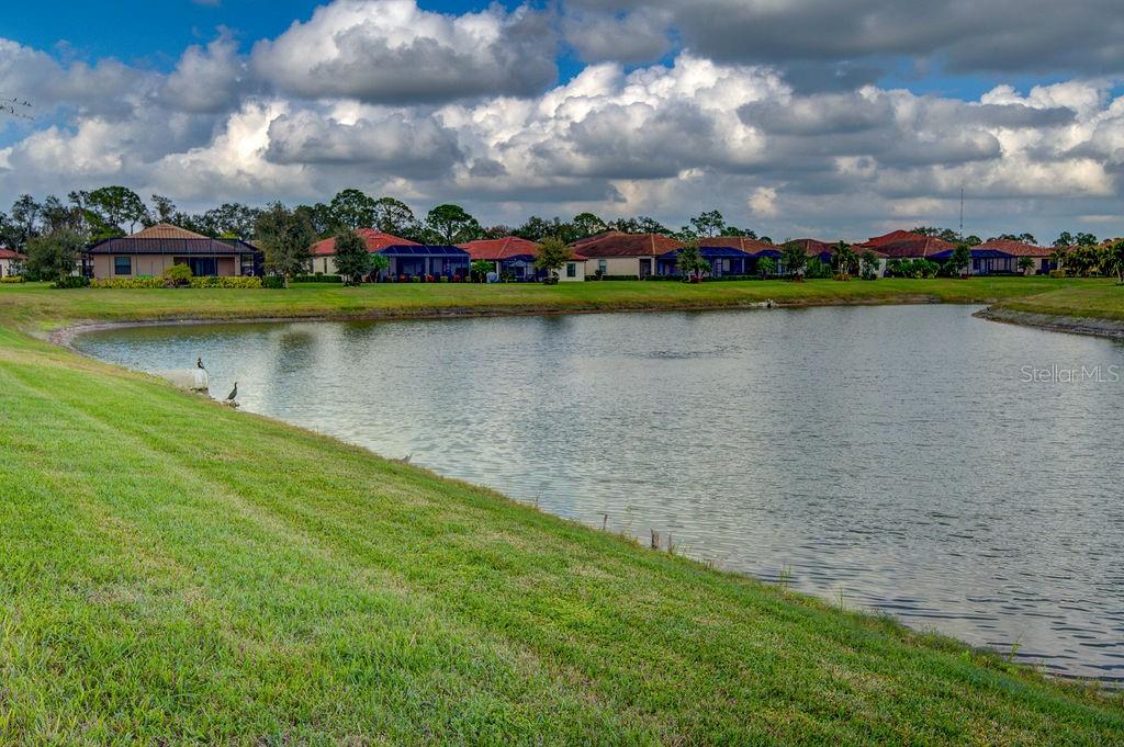 20650 ROMAGNA PL, VENICE, FL, 34293