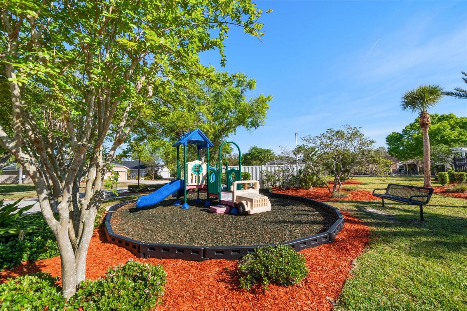 12346 COUNTRY WHITE CIR, TAMPA, FL, 33635