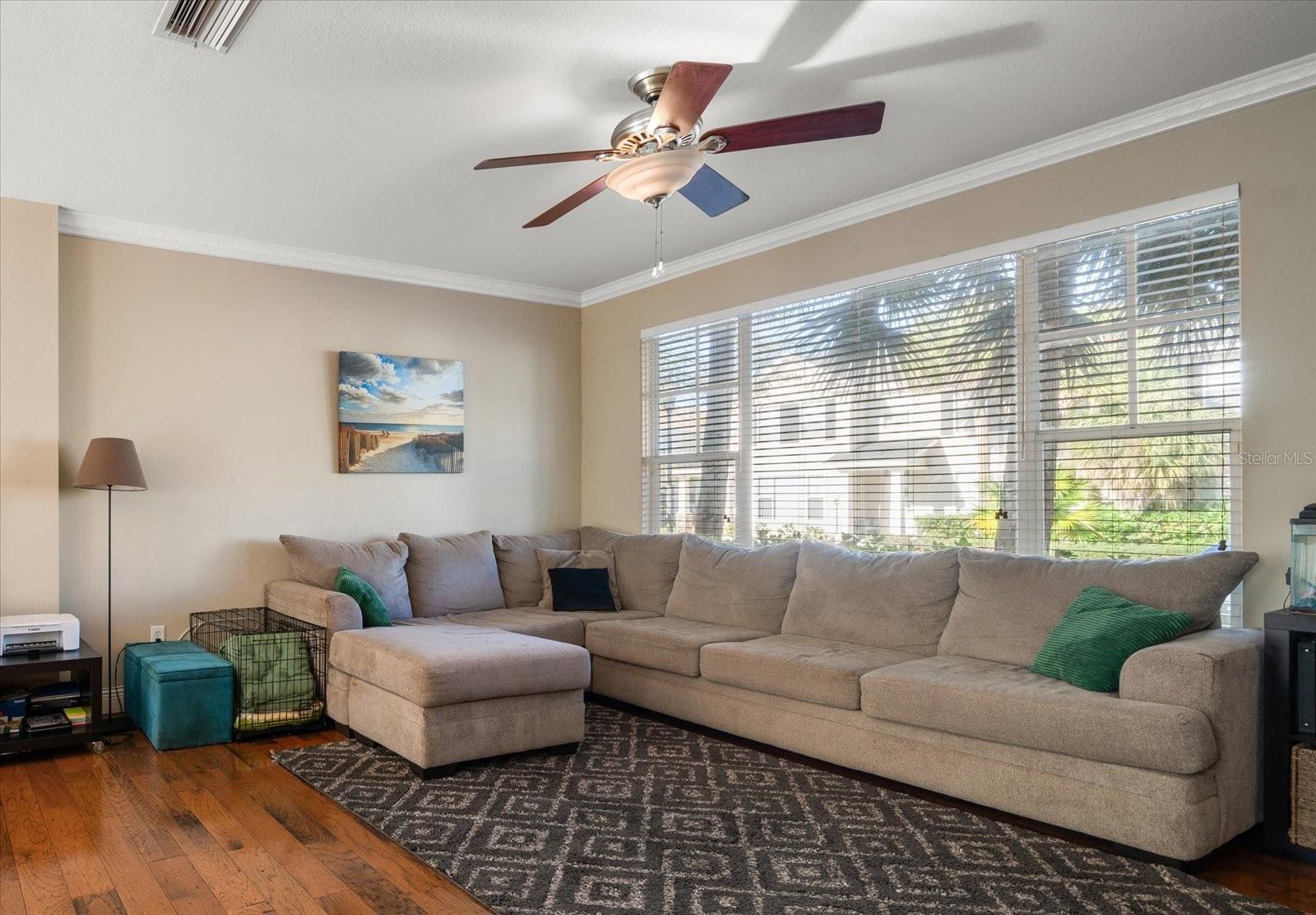 12346 COUNTRY WHITE CIR, TAMPA, FL, 33635