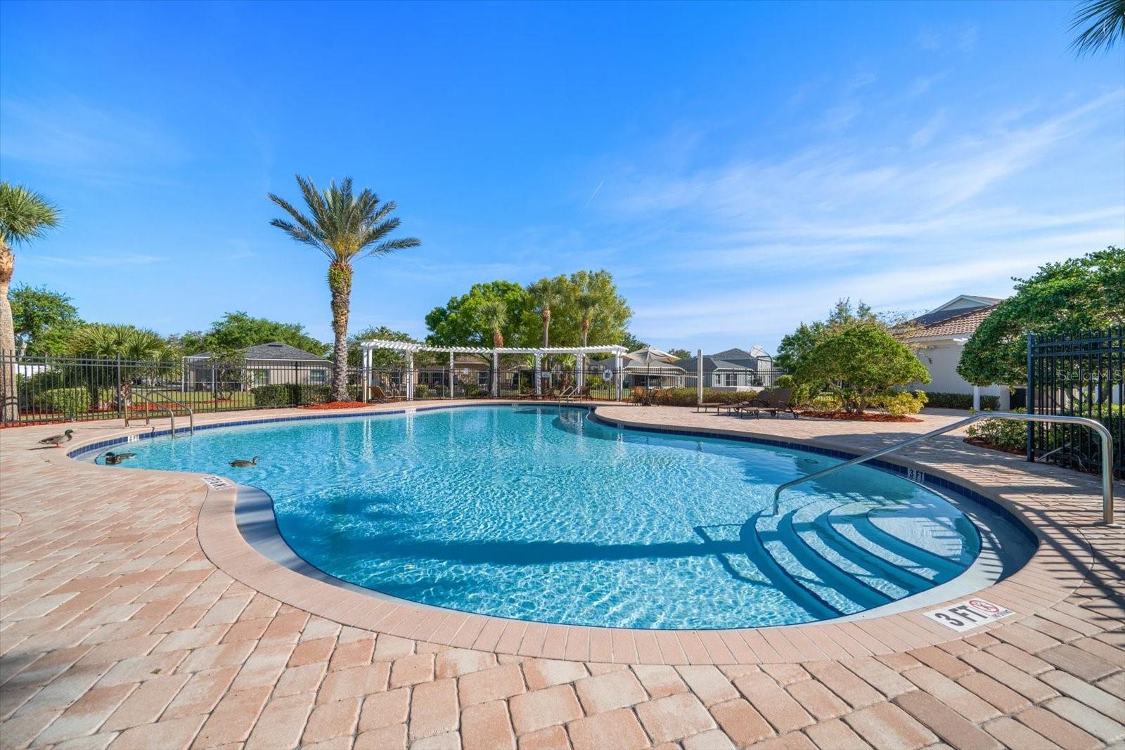 12346 COUNTRY WHITE CIR, TAMPA, FL, 33635