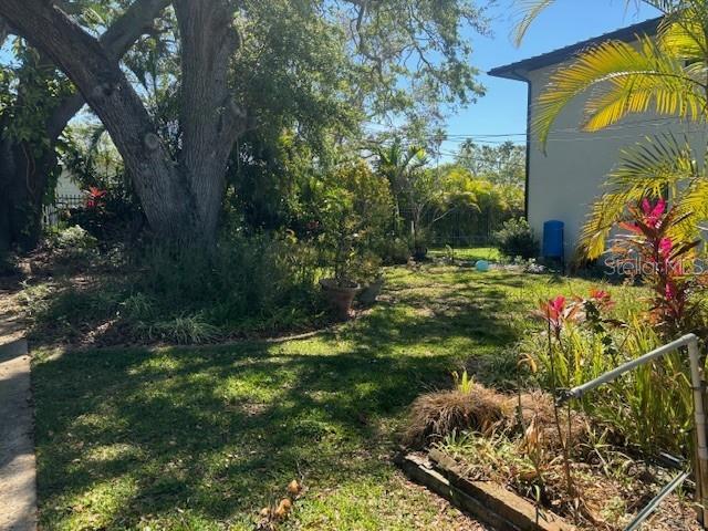 559 CHICAGO AVE, DUNEDIN, FL, 34698