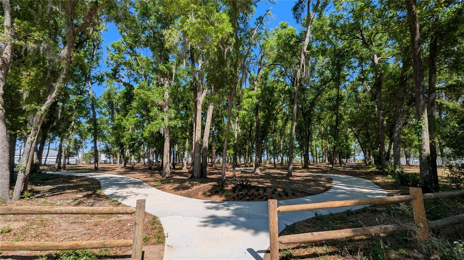 6177 CALLE OCHOA ST, ZEPHYRHILLS, FL, 33542