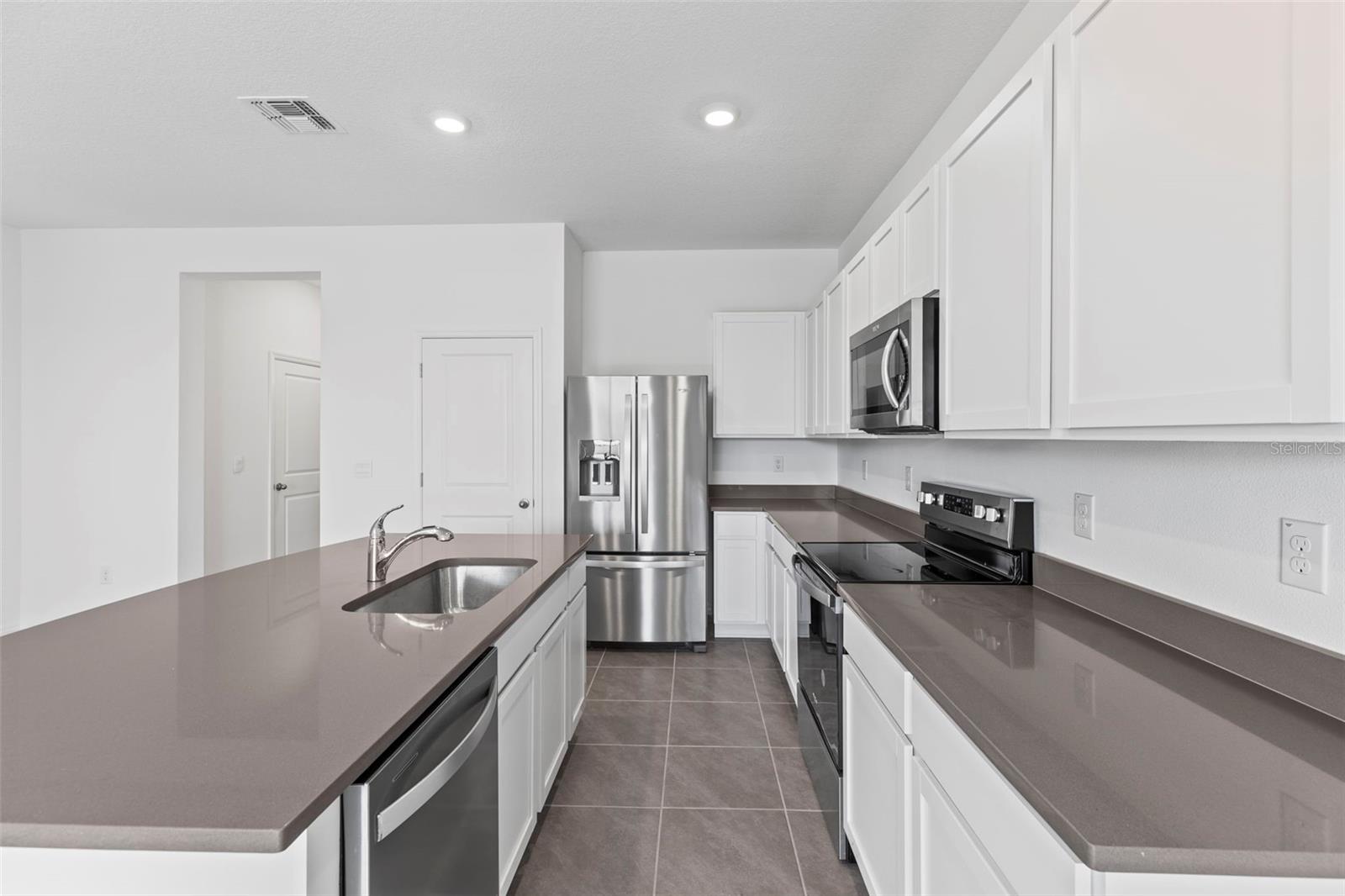 17216 BIGLEAF MAHOGANY LN, LAND O LAKES, FL, 34638