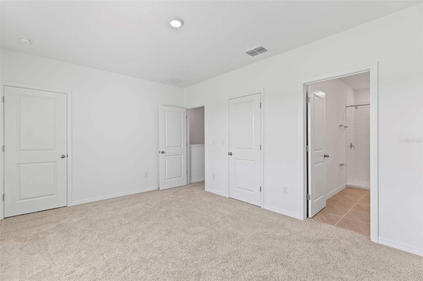 17216 BIGLEAF MAHOGANY LN, LAND O LAKES, FL, 34638