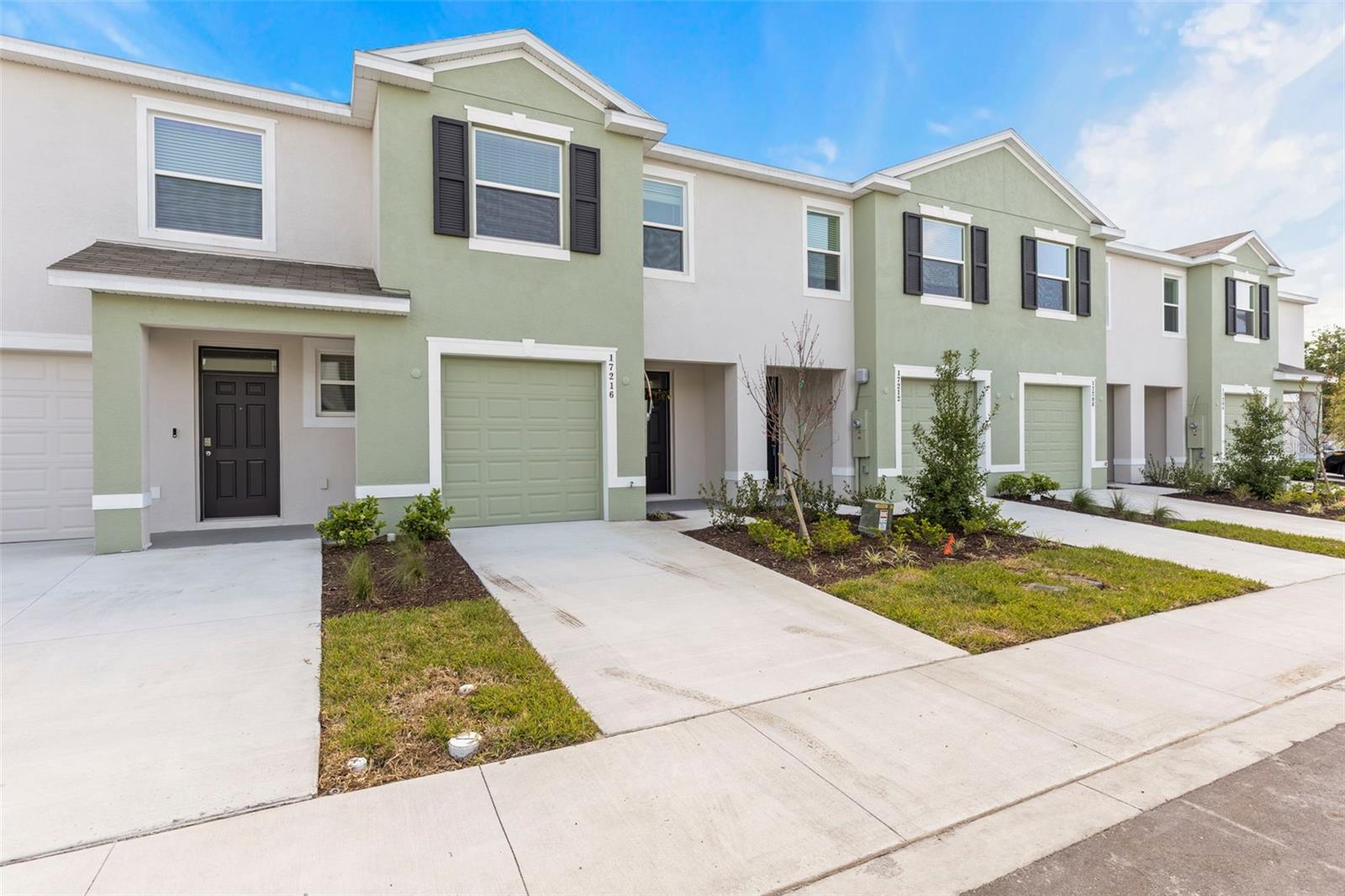 17216 BIGLEAF MAHOGANY LN, LAND O LAKES, FL, 34638