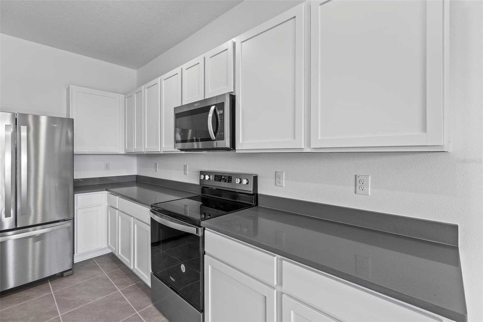 17216 BIGLEAF MAHOGANY LN, LAND O LAKES, FL, 34638