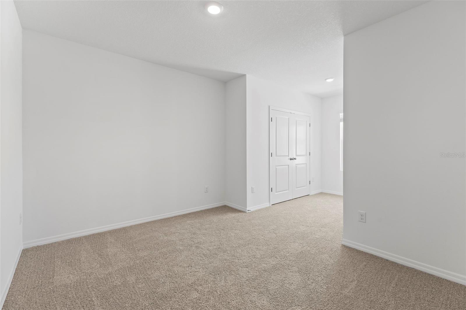 17216 BIGLEAF MAHOGANY LN, LAND O LAKES, FL, 34638