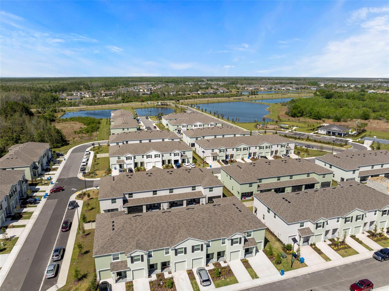 17216 BIGLEAF MAHOGANY LN, LAND O LAKES, FL, 34638