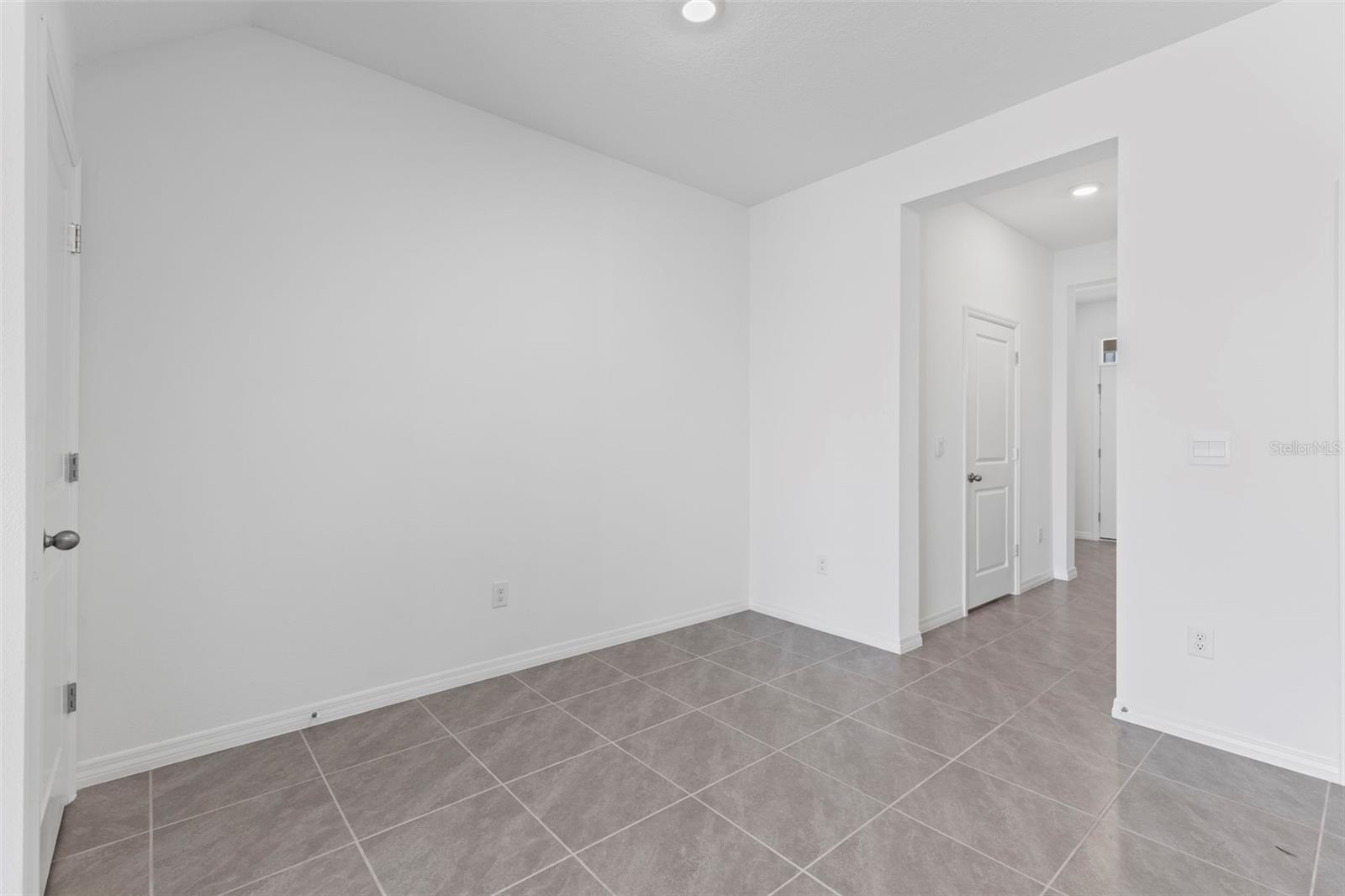 17216 BIGLEAF MAHOGANY LN, LAND O LAKES, FL, 34638