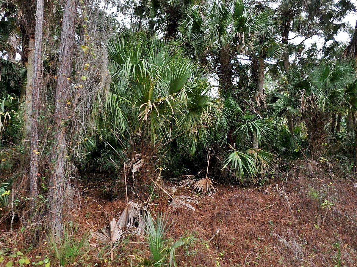 DAPHNE RD, NORTH PORT, FL, 34288