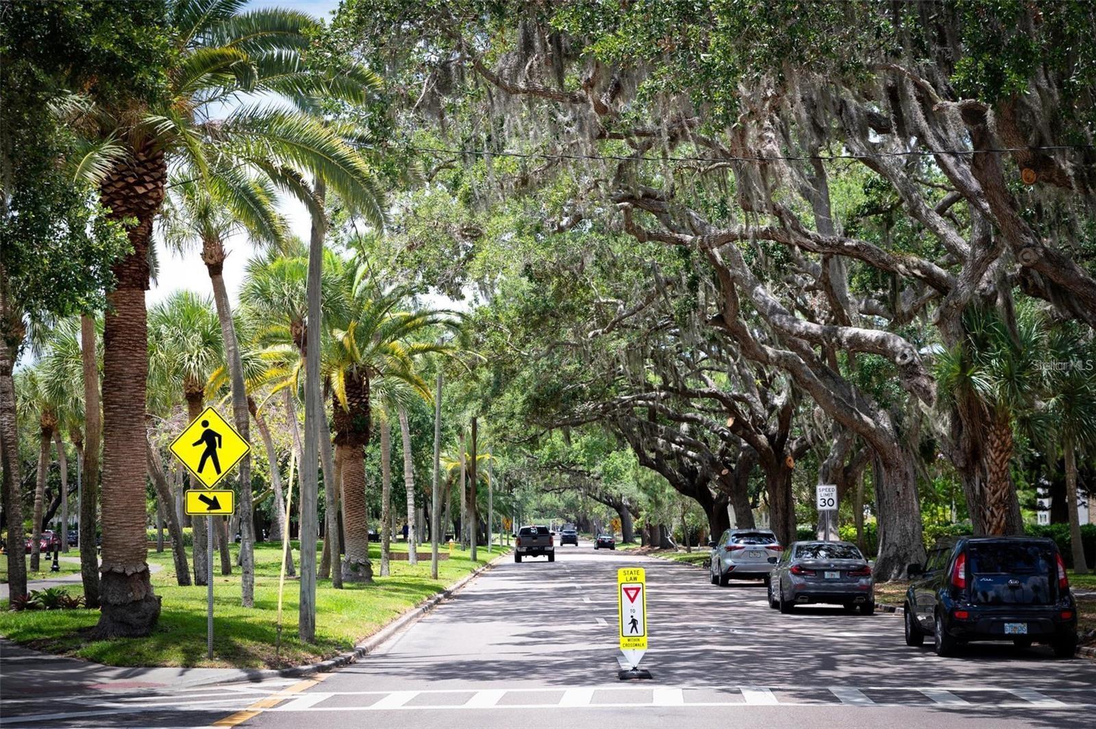322 LANGHOLM DR, VENICE, FL, 34293